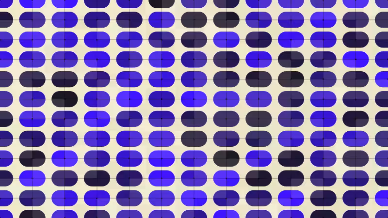 Polka #165
