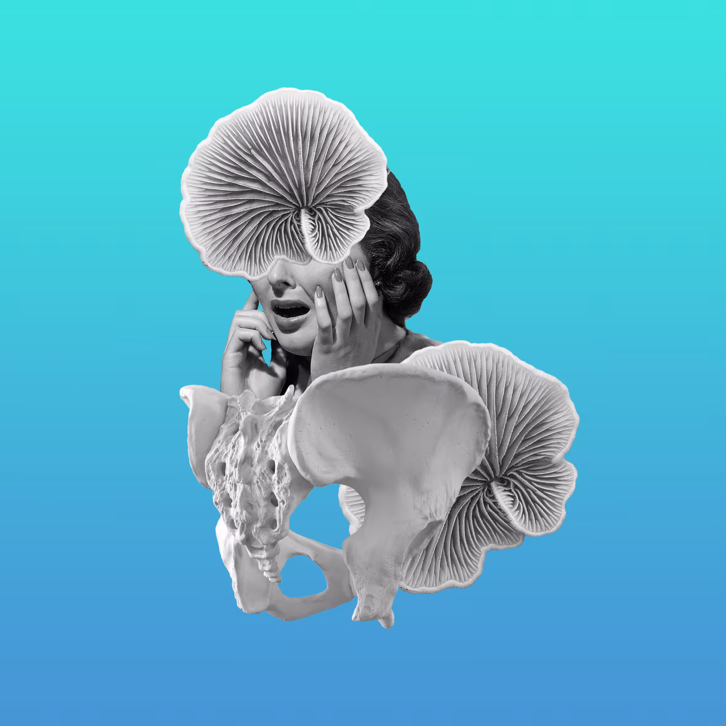 Bony oyster