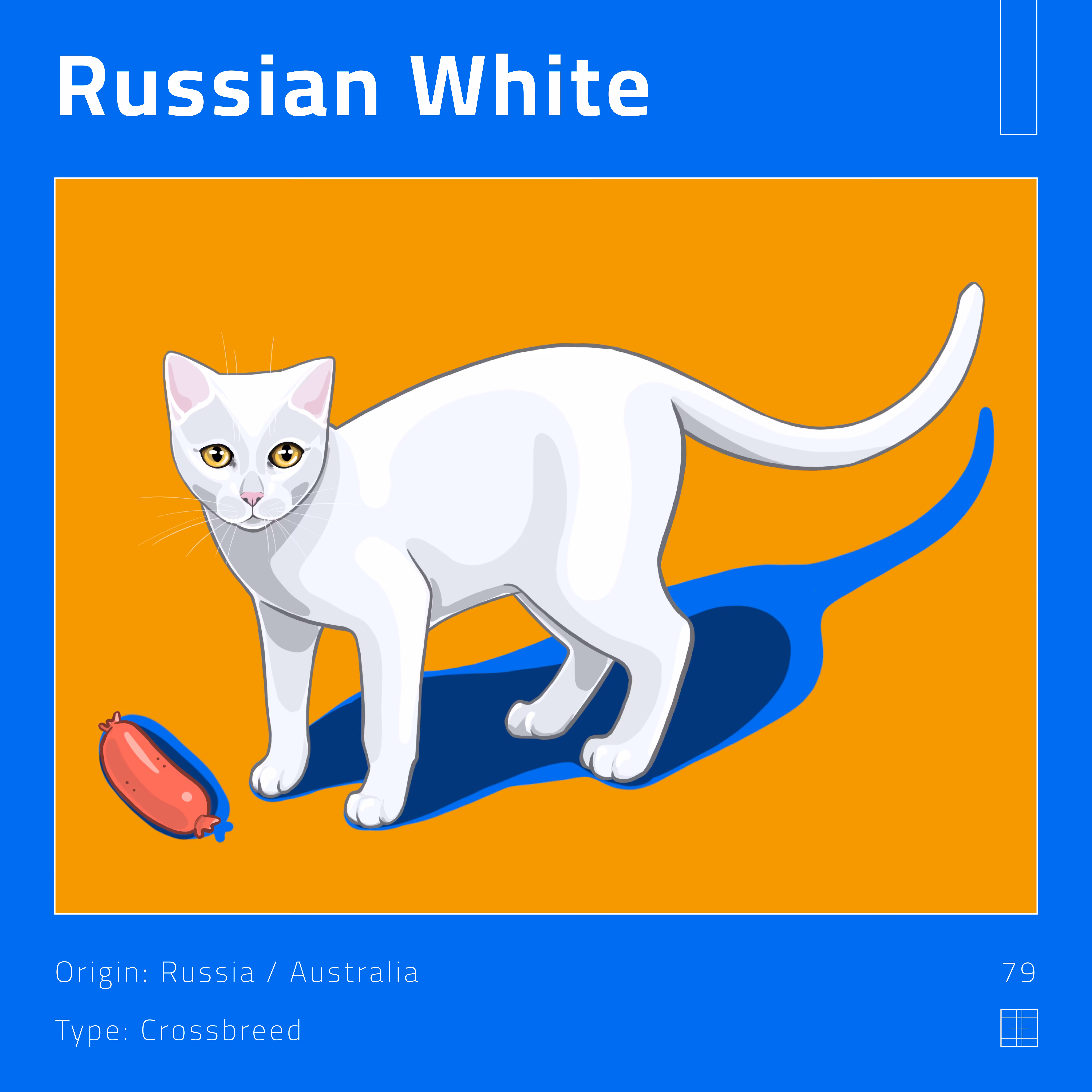 79 – Russian White