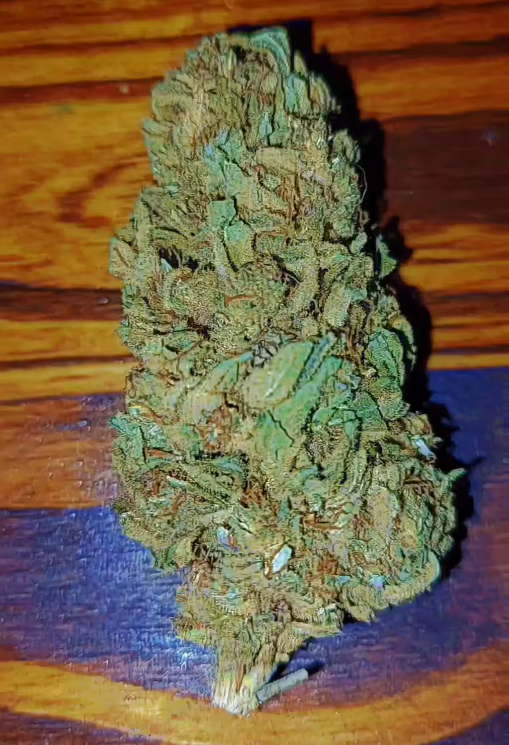 Lemon Ram 