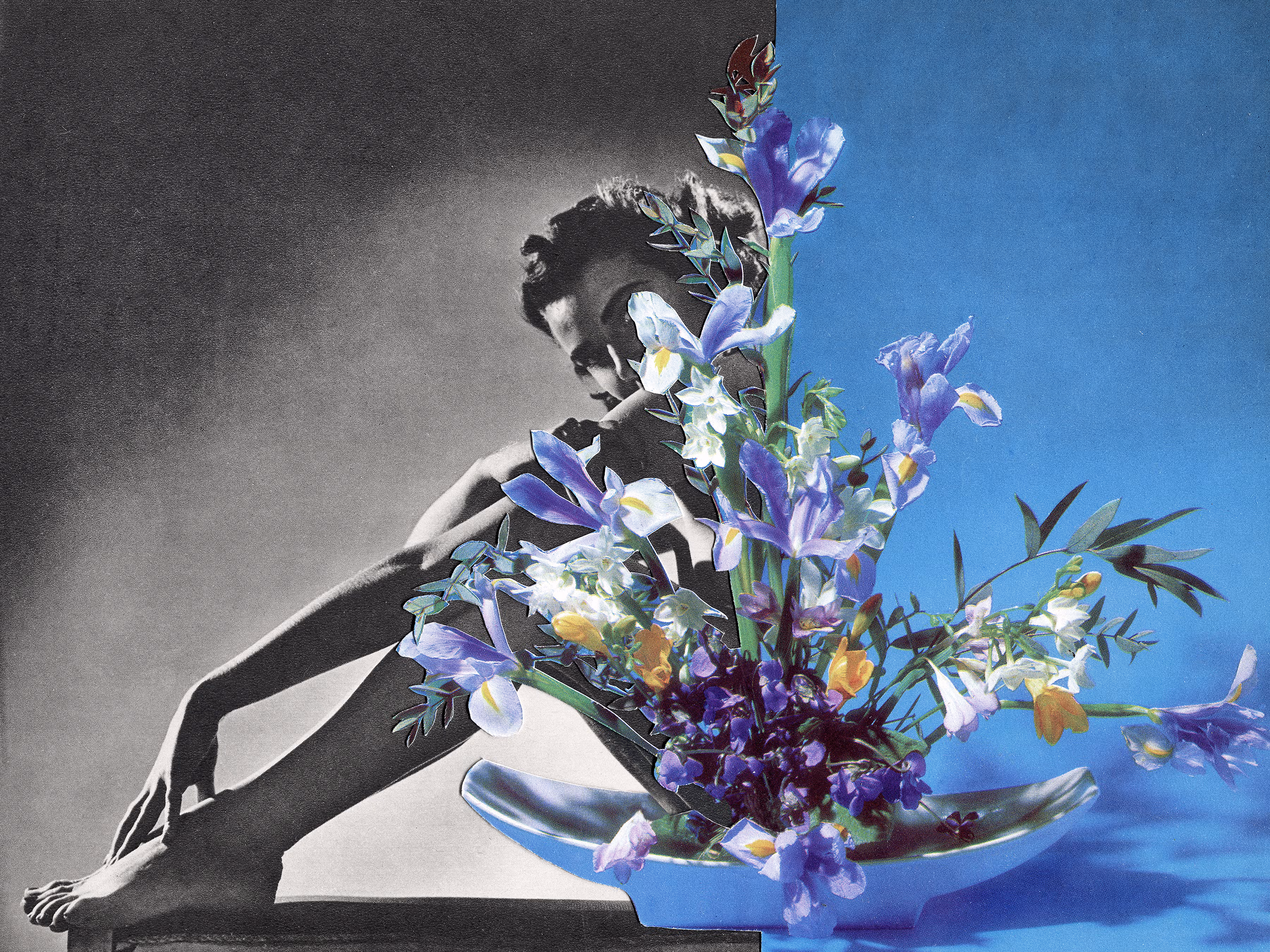 You Dont Bring Me Flowers: Blue Iris