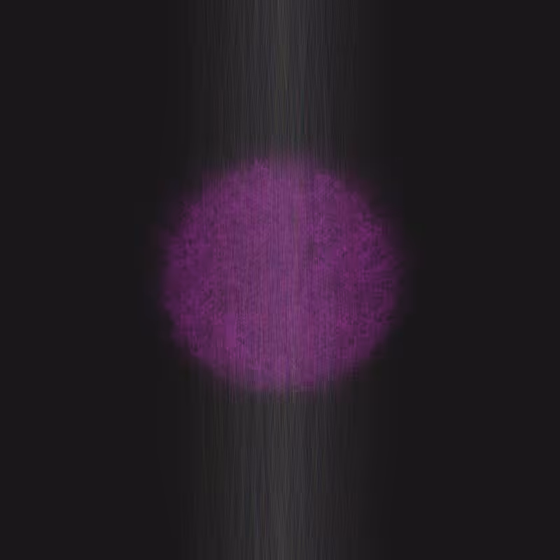 SpotLight #2