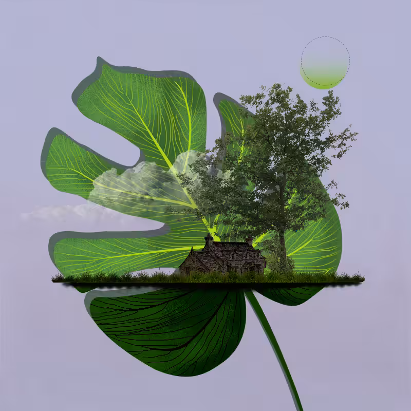 Live in Nature #3