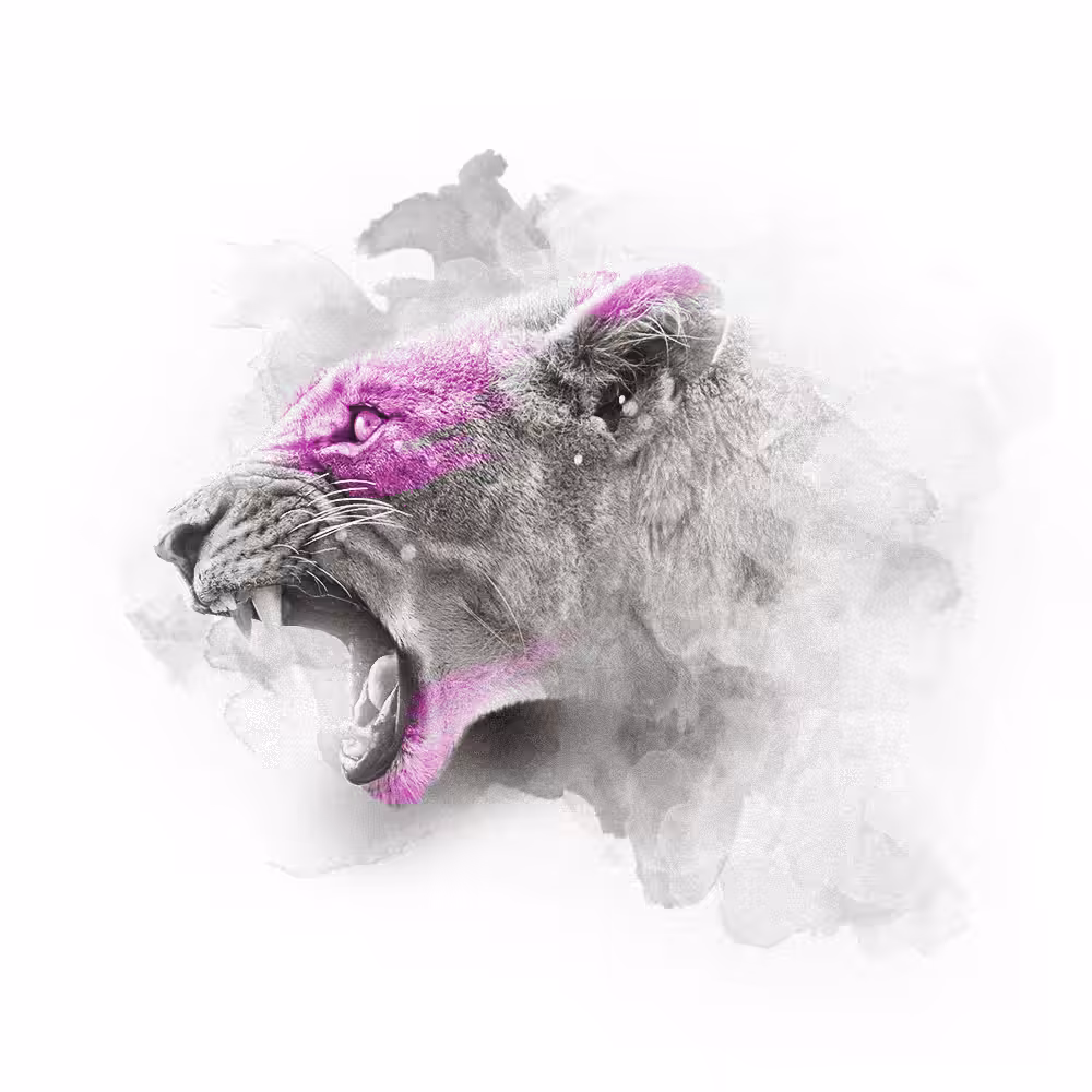 PINK SERIES - LIONESS
