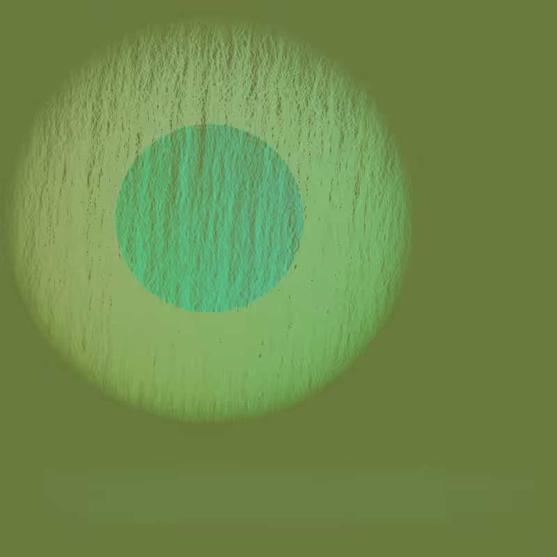 Orbit #125