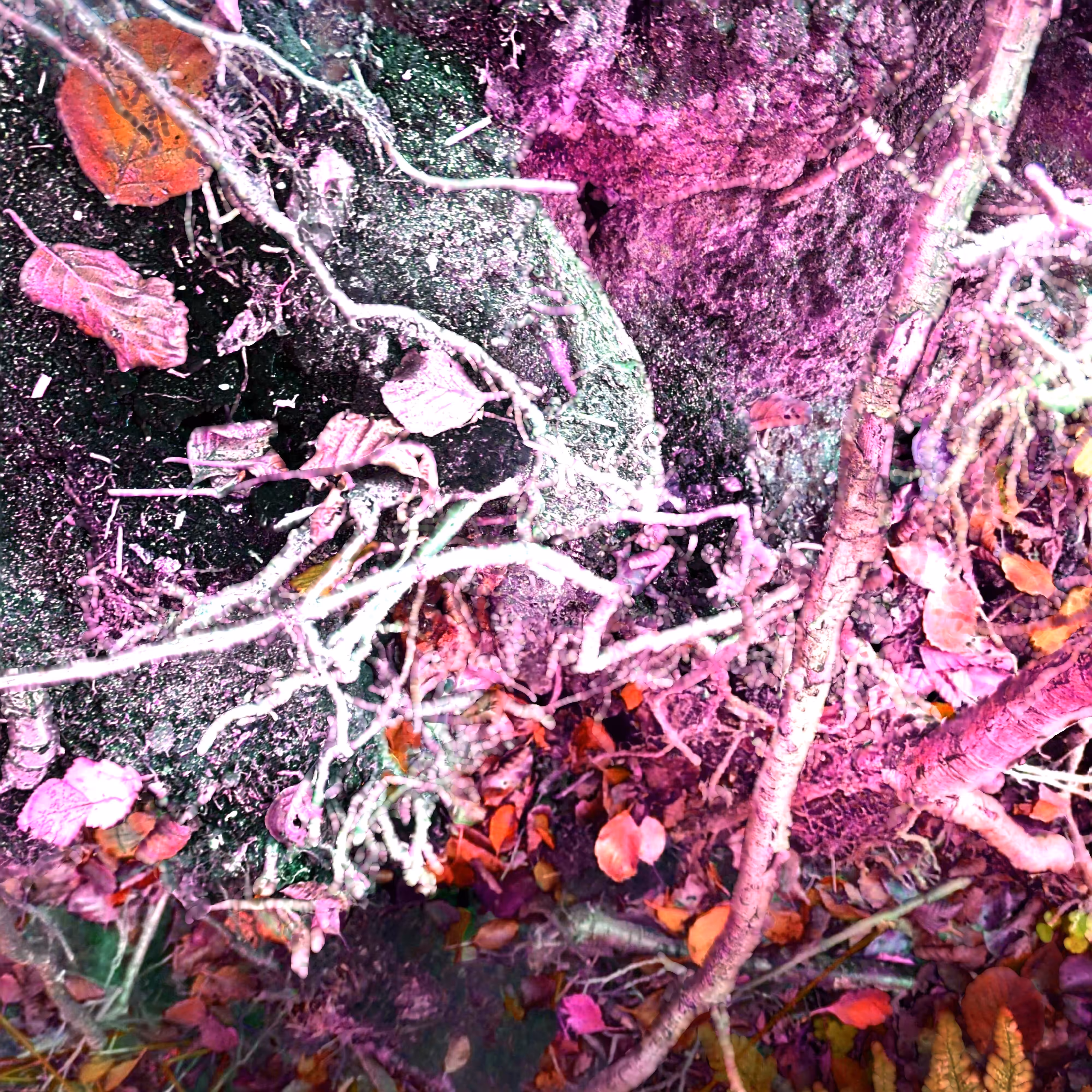 Autonomous Forest Plots: Plot u329hvn75