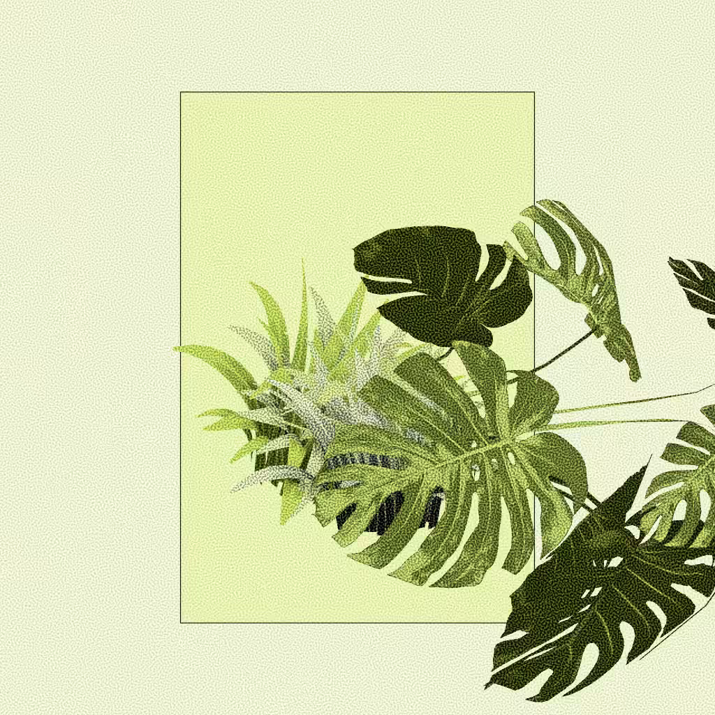 Botany #168