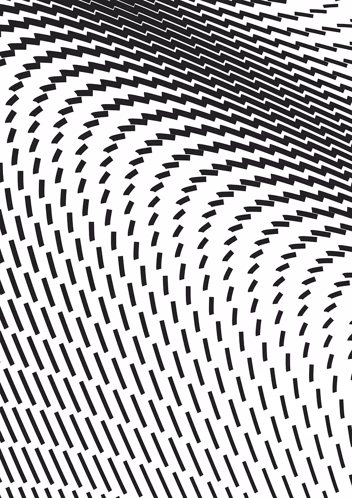 Zebra Glitch II