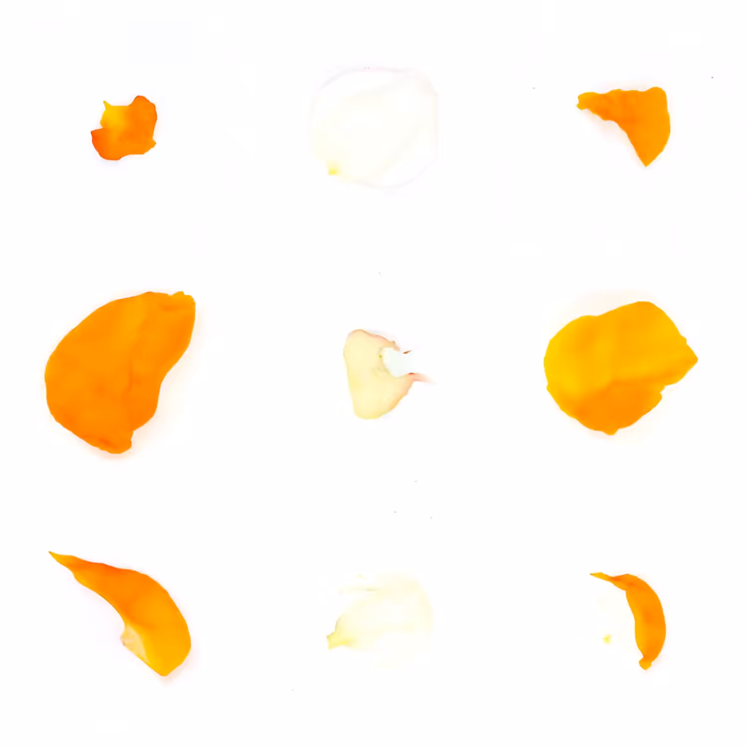 Infinite Petals 3x3#3775