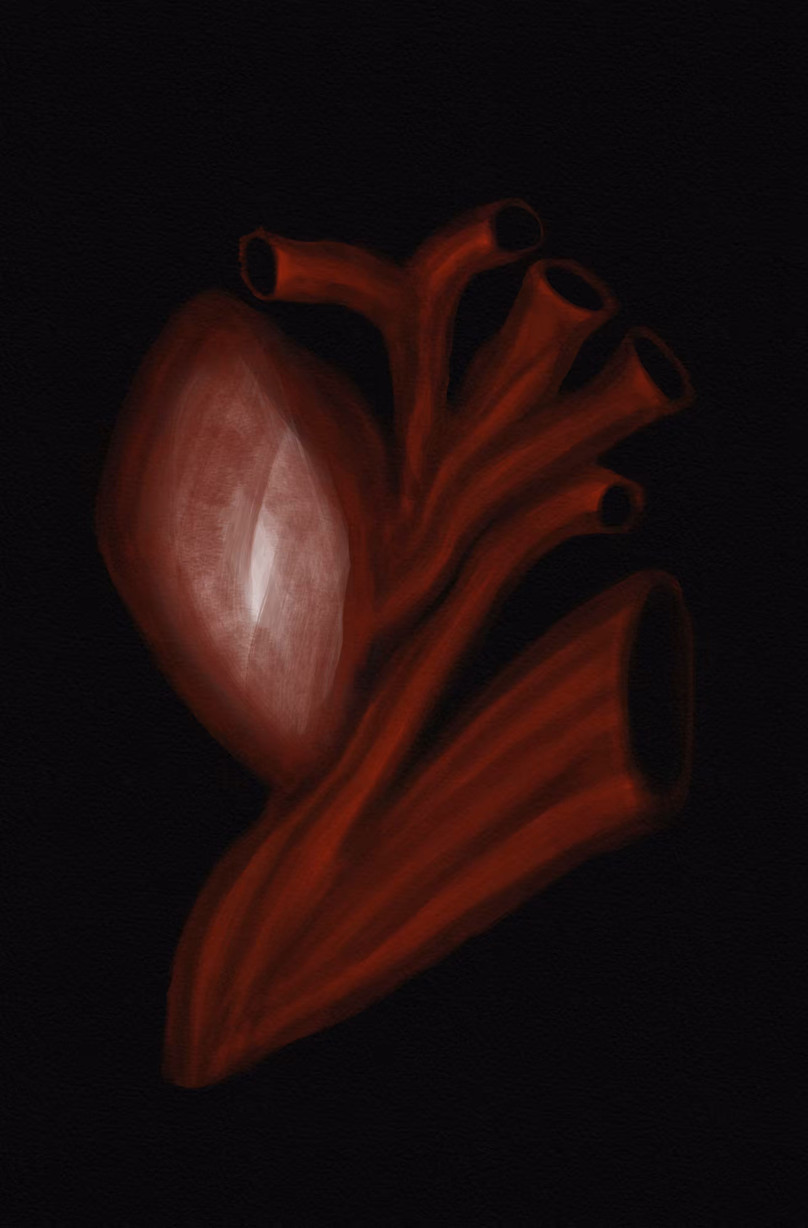 Anatomy of a broken heart II