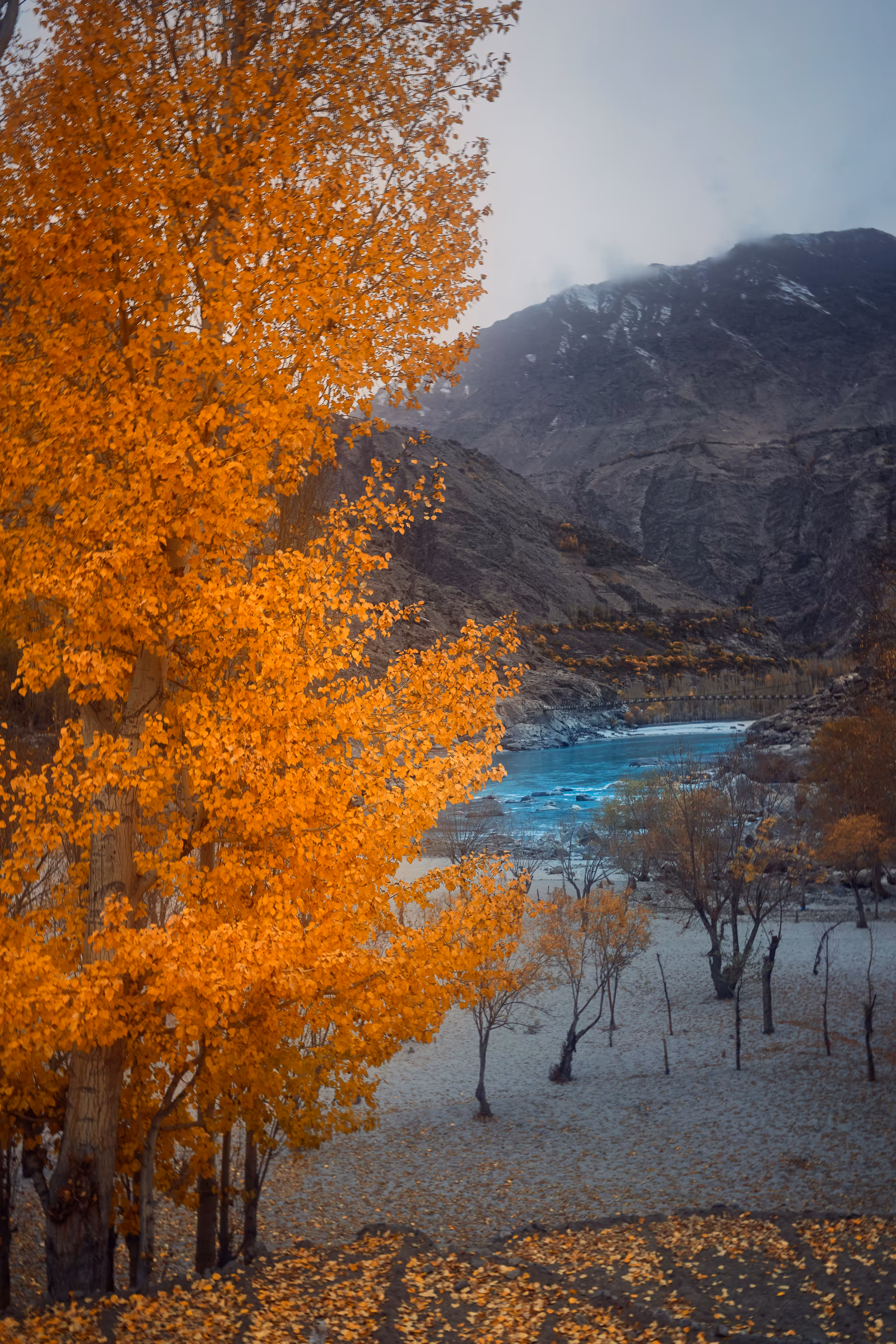 Autumness