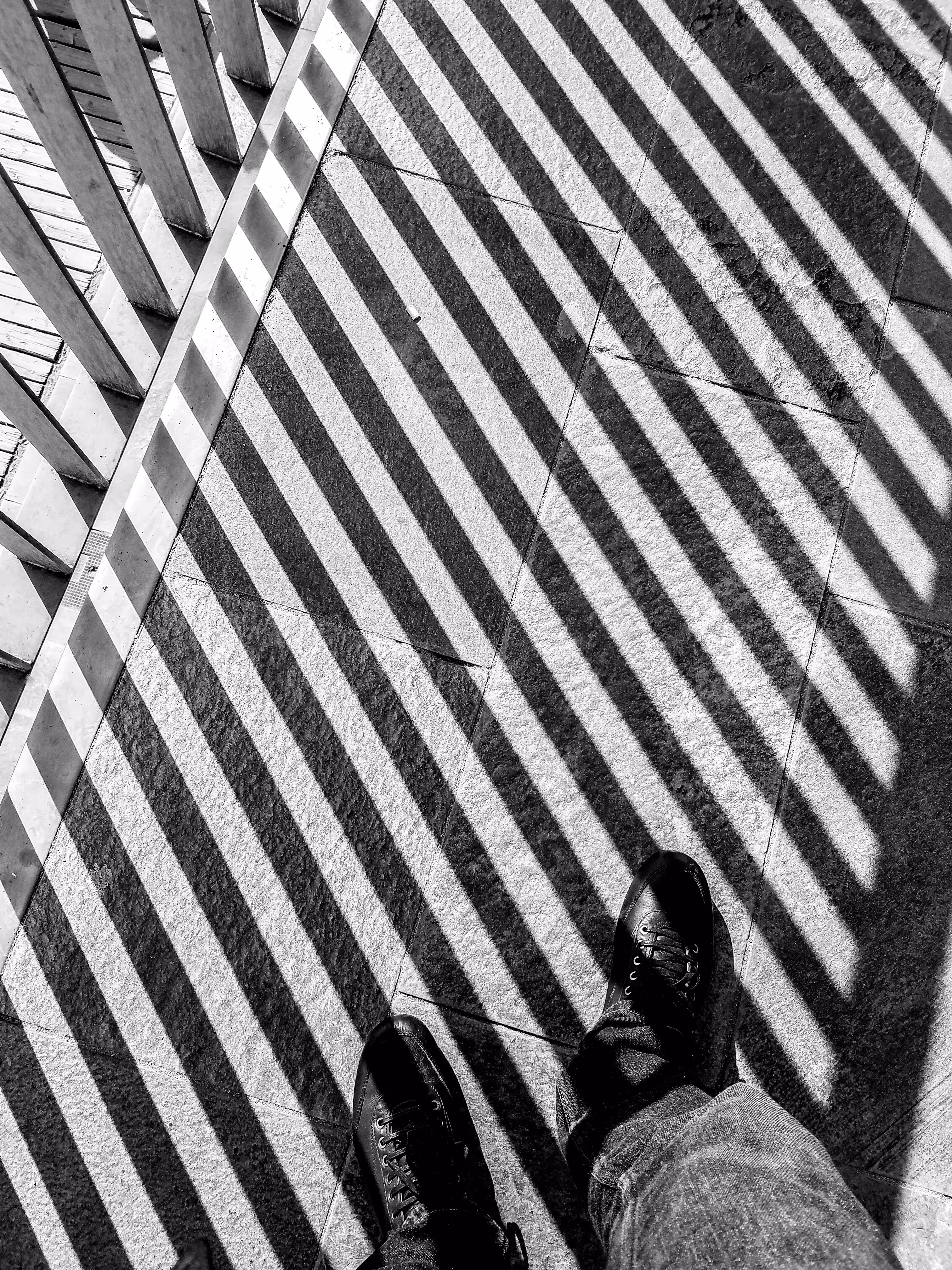 Stolen Camera Blues #3