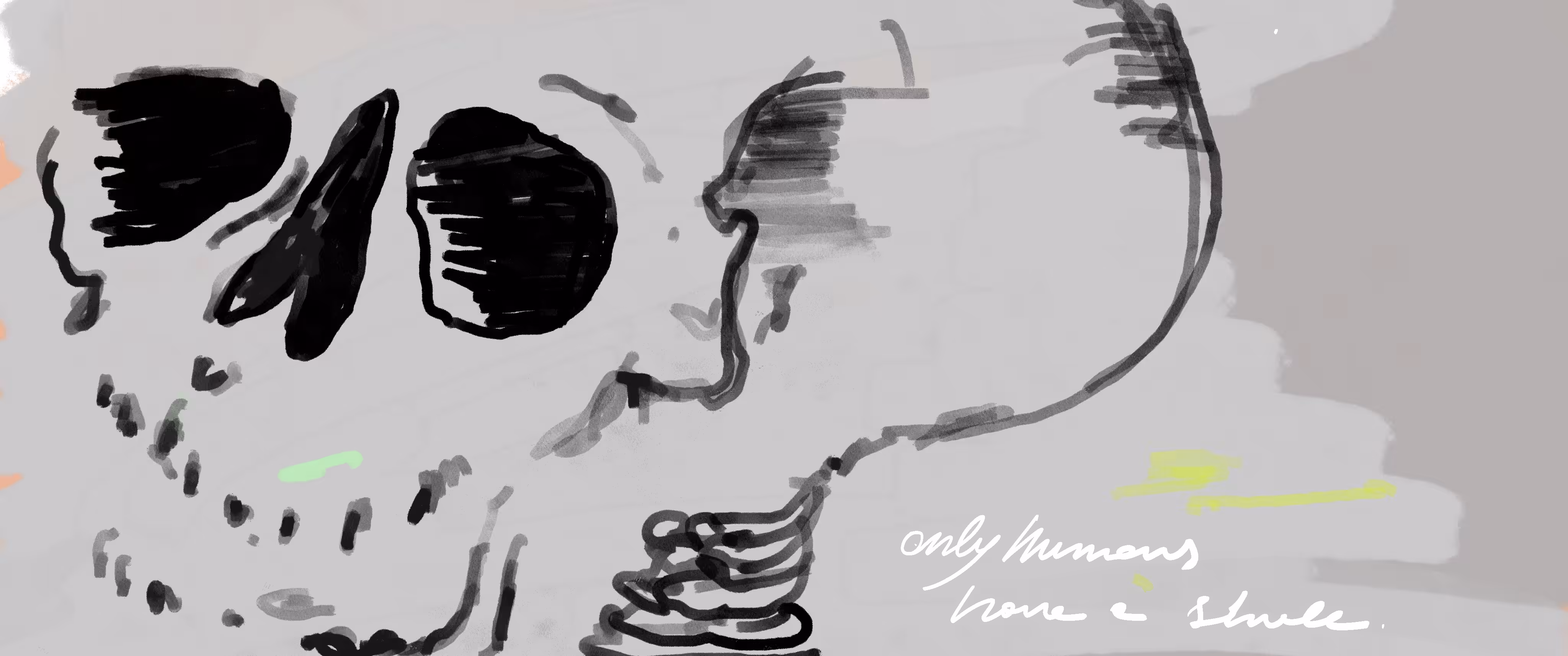 only humans have a skull