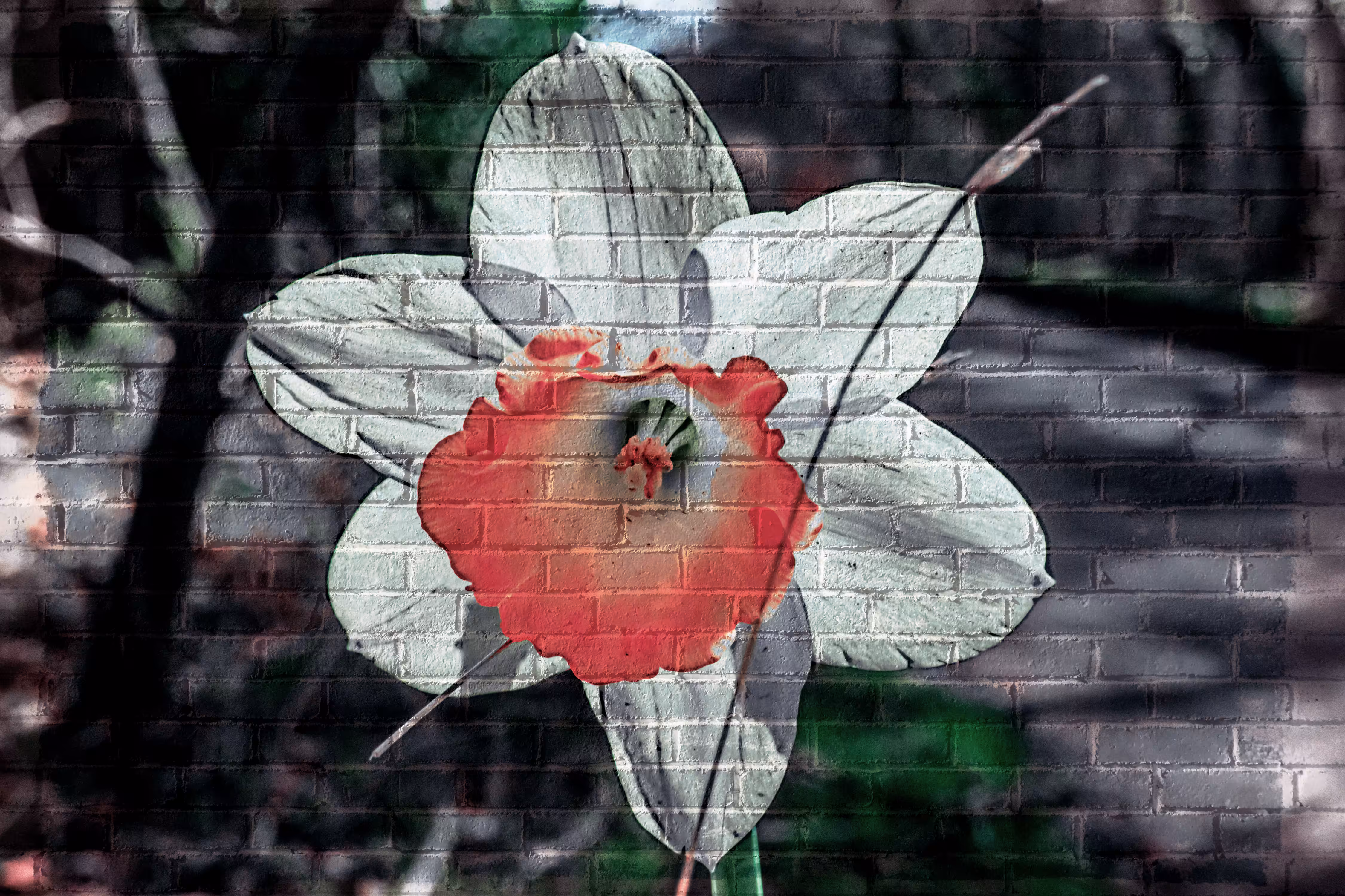 Wall art #1
