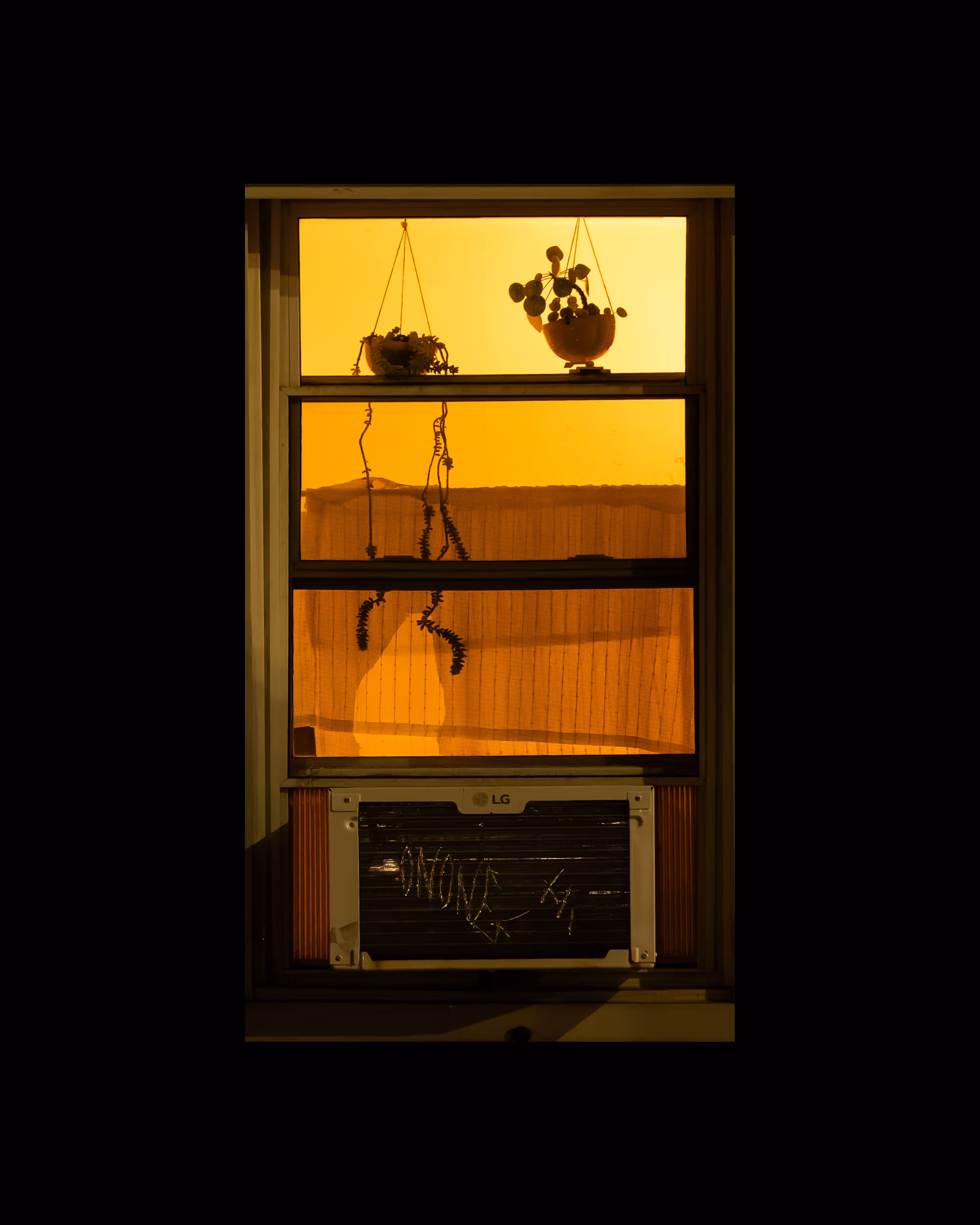 WINDOWS // NYC: WINDOW 314