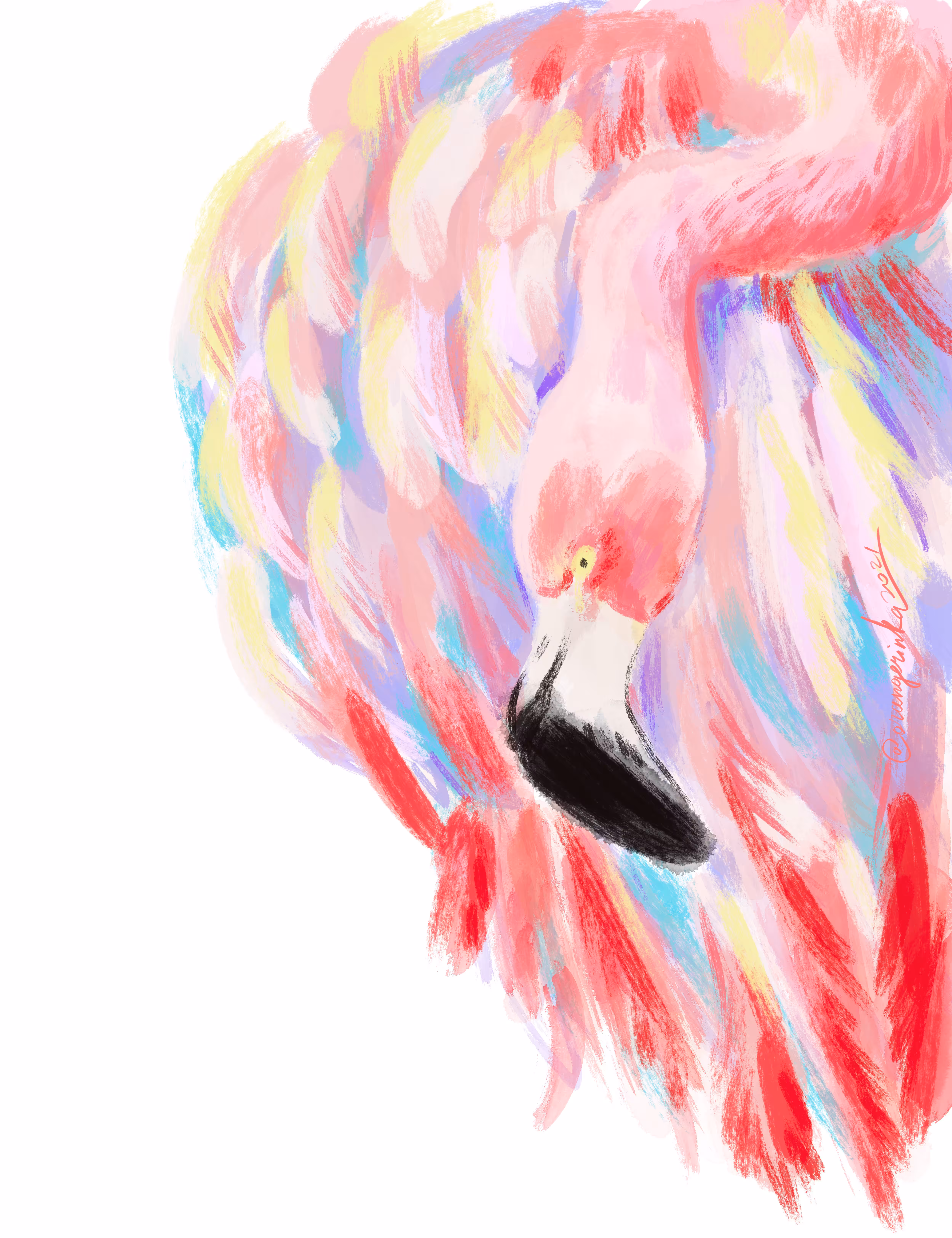 Pastel Mingo