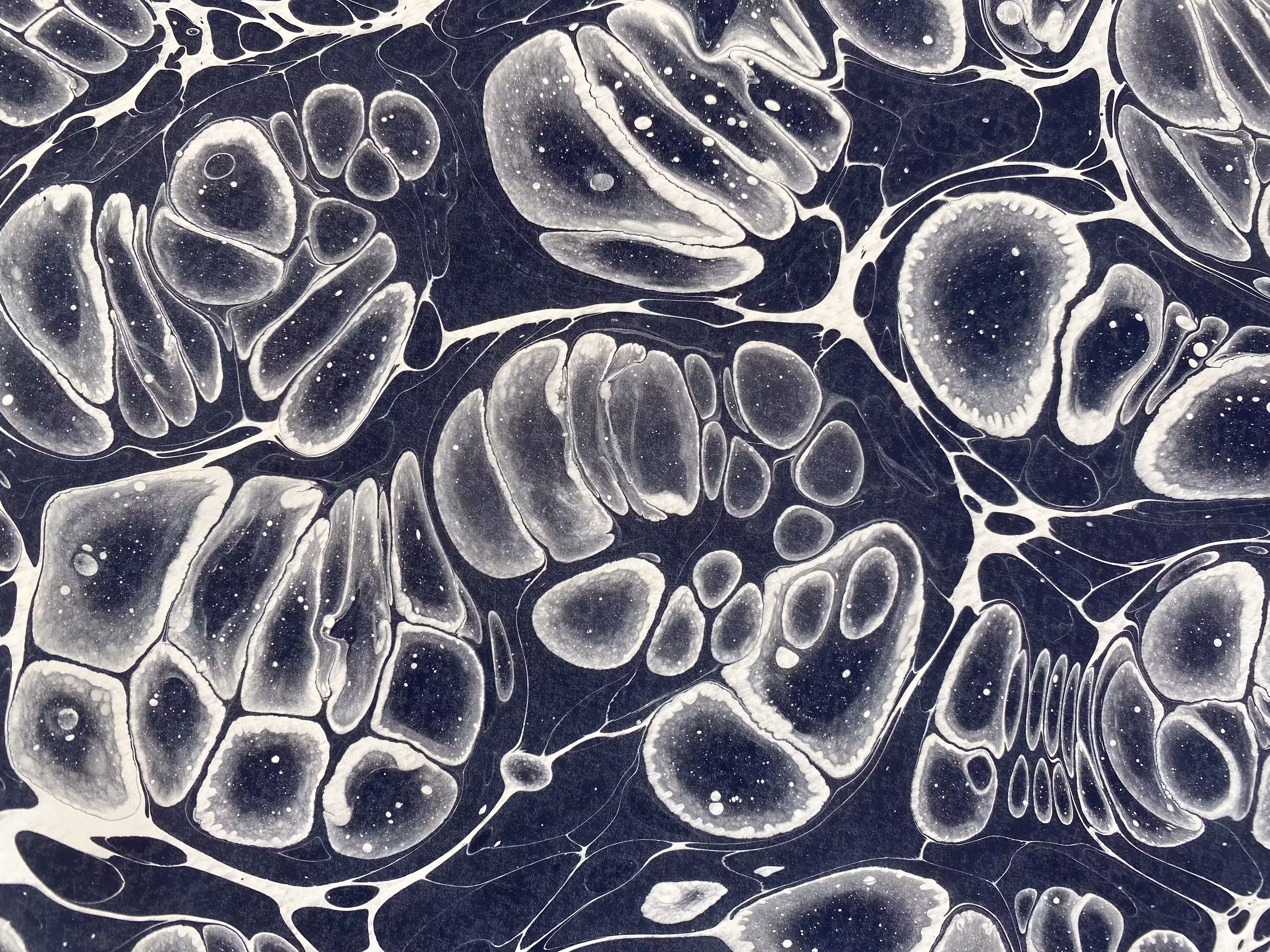 Monochrome Battal Ebrû / Marbling Art SE #10