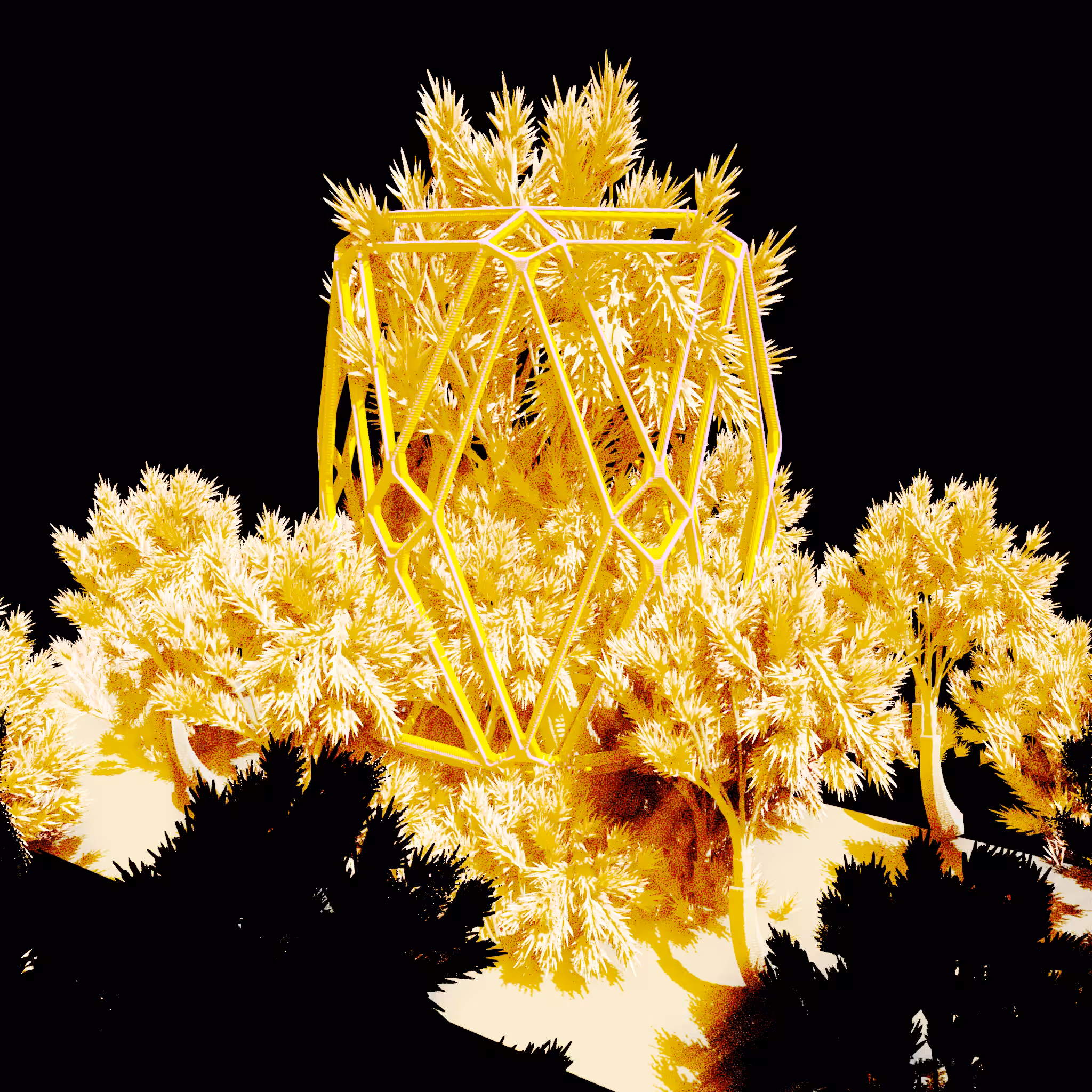 Urban Flora #451