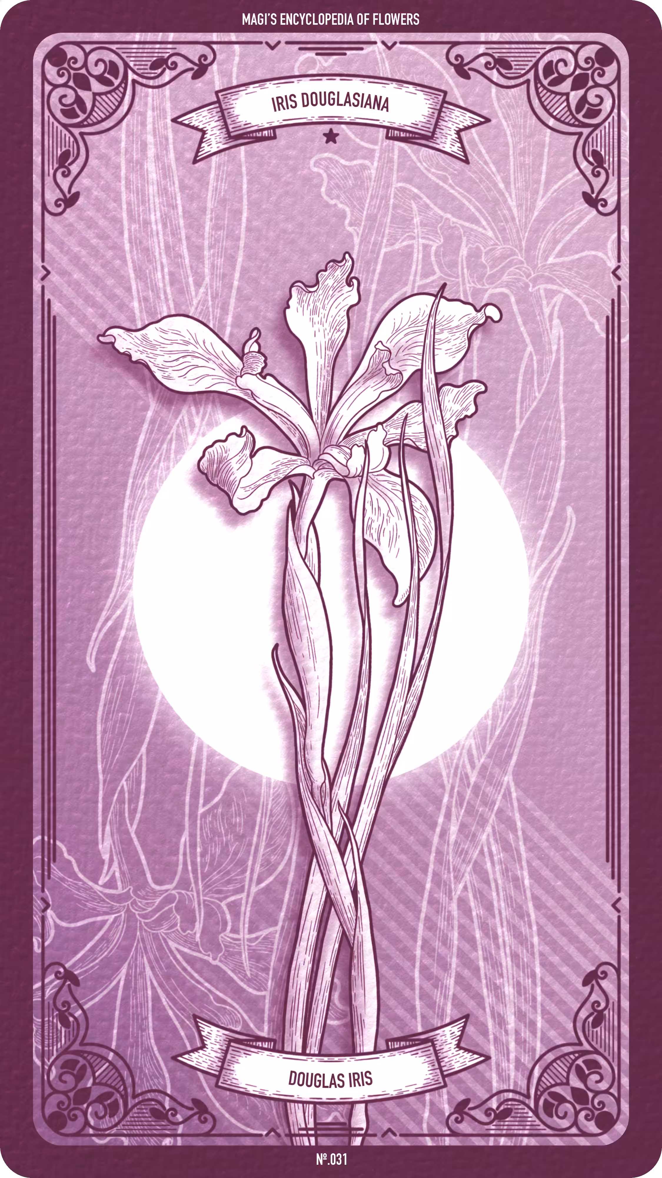 031 Douglas Iris