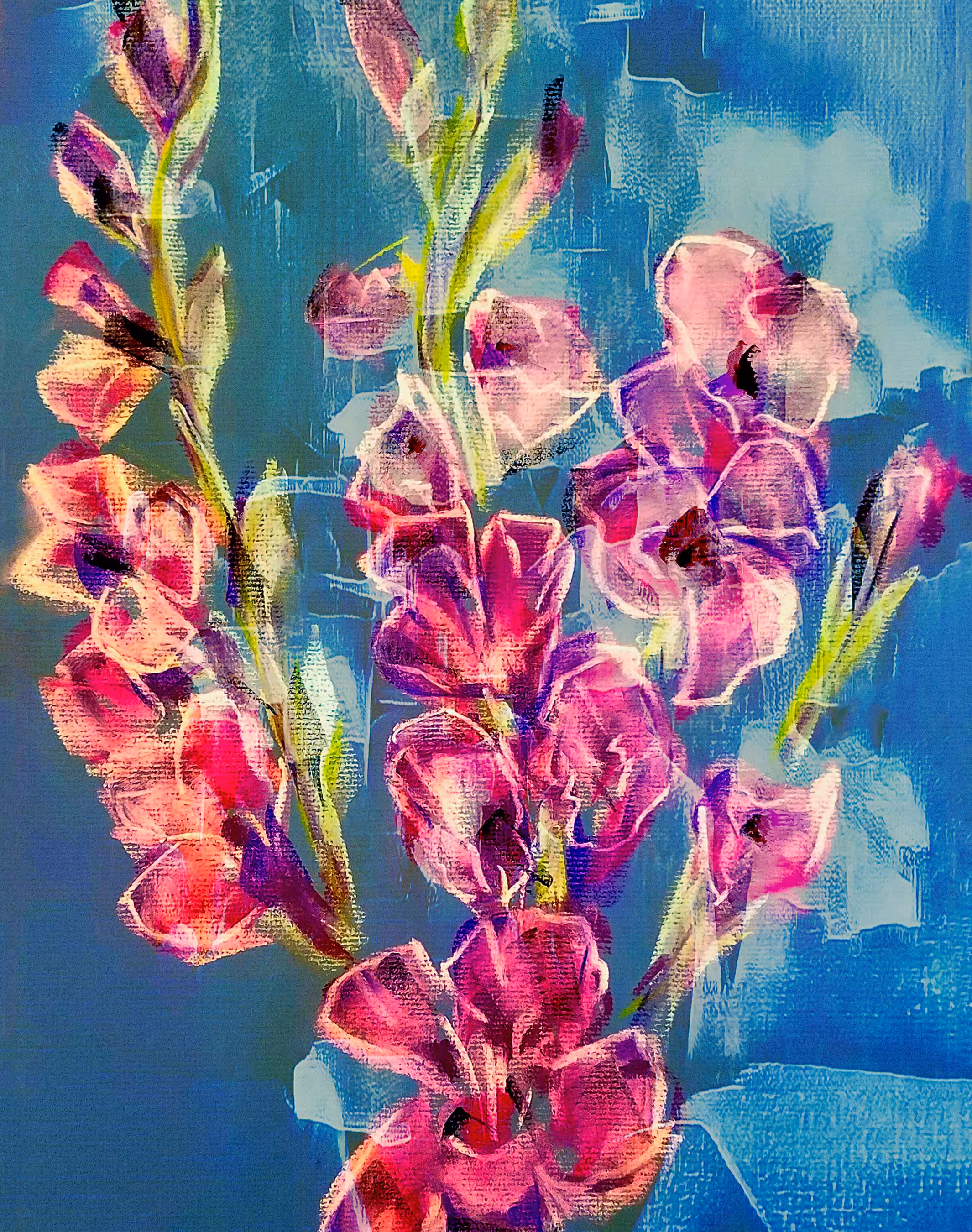 Holy Gladioli
