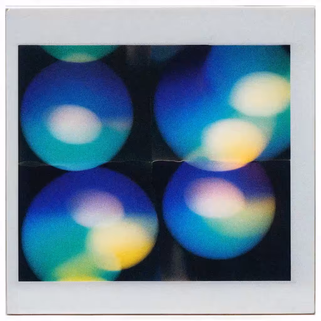 polaroid diary 08 18 24
