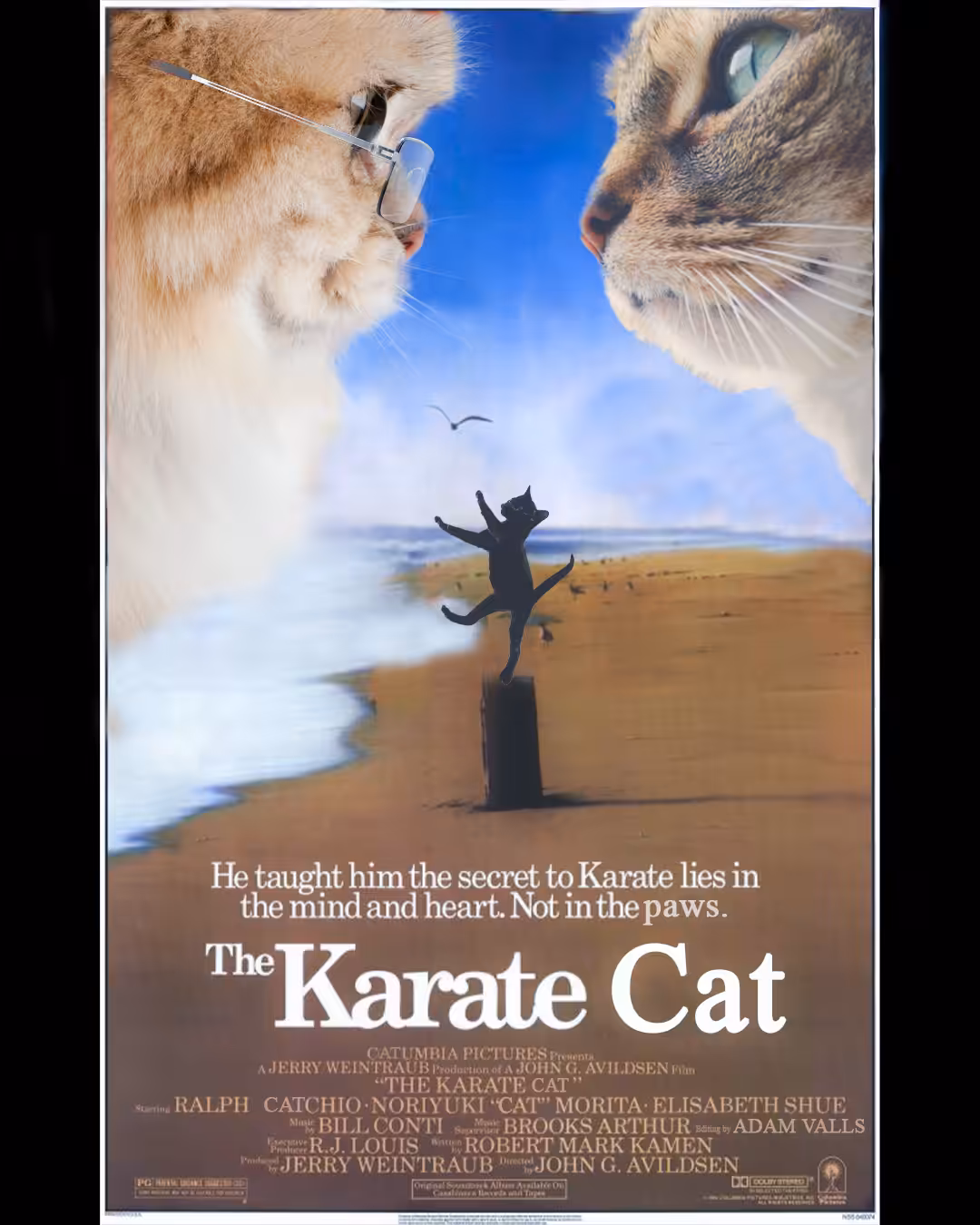 The Karate Cat