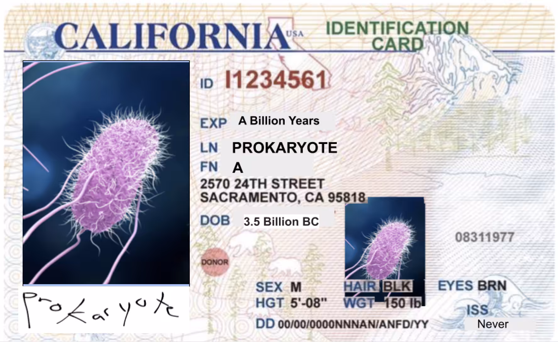 Ownership Through Identity 3