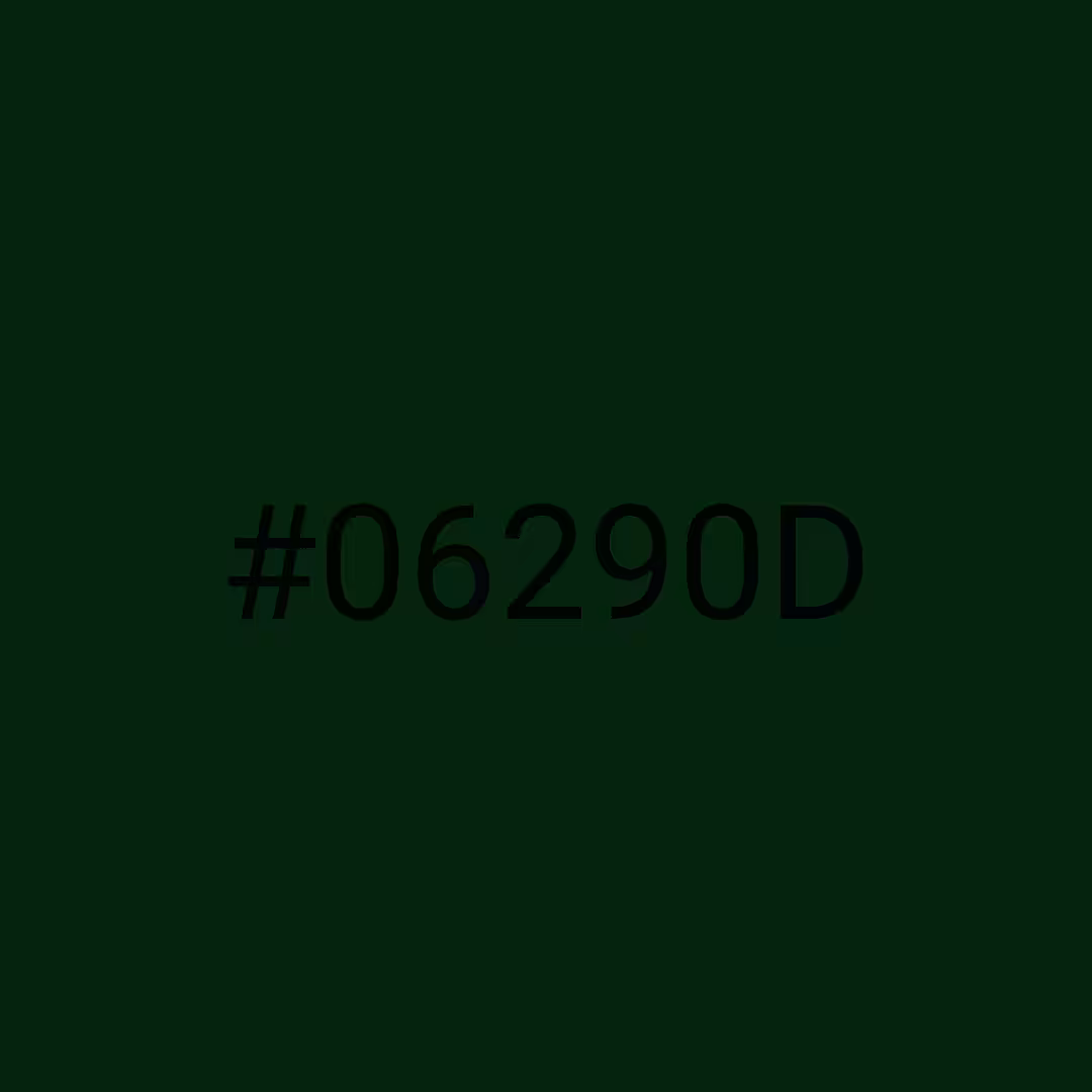 #06290D - RNG Color Experiment