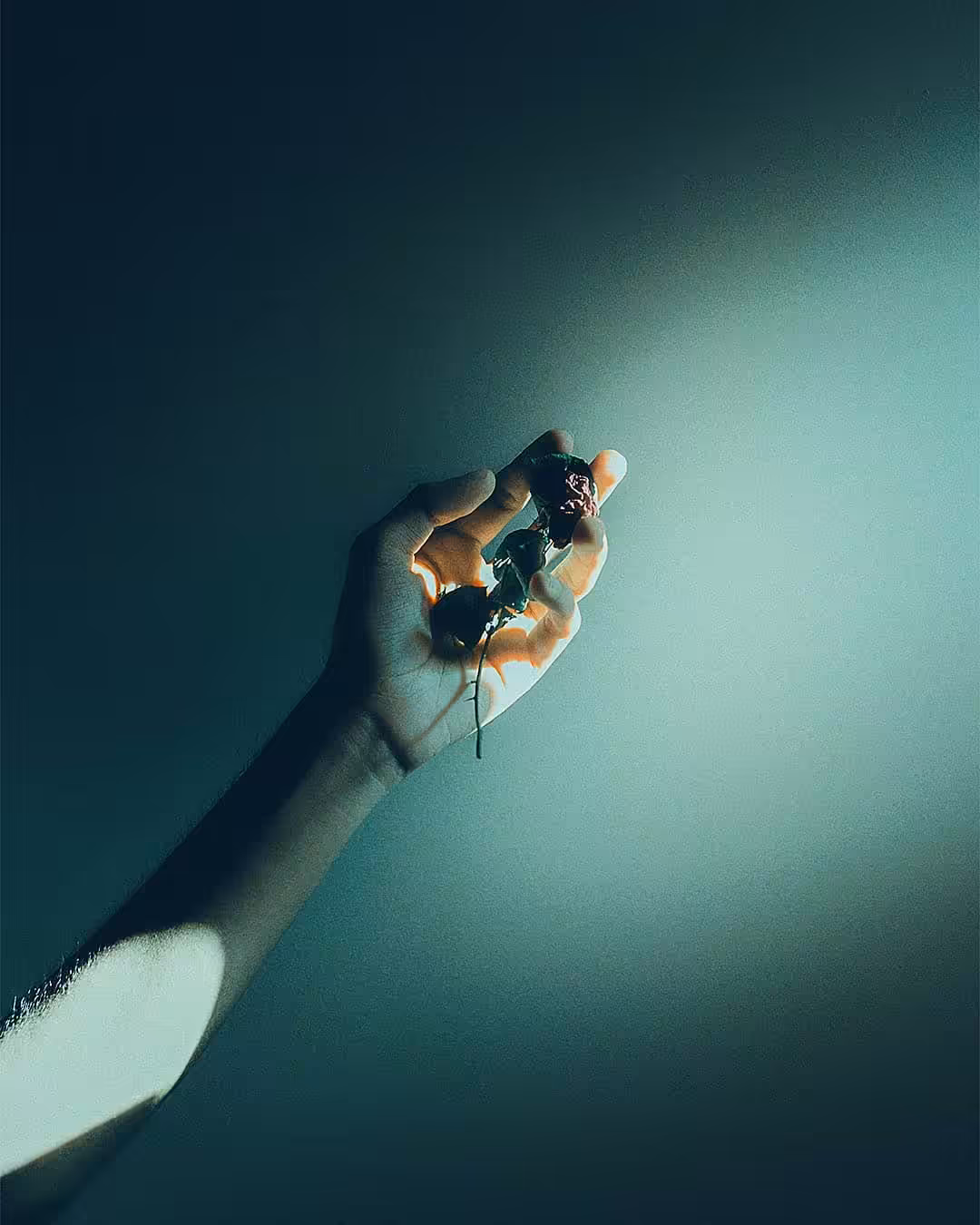 You can't have roses without thorns
