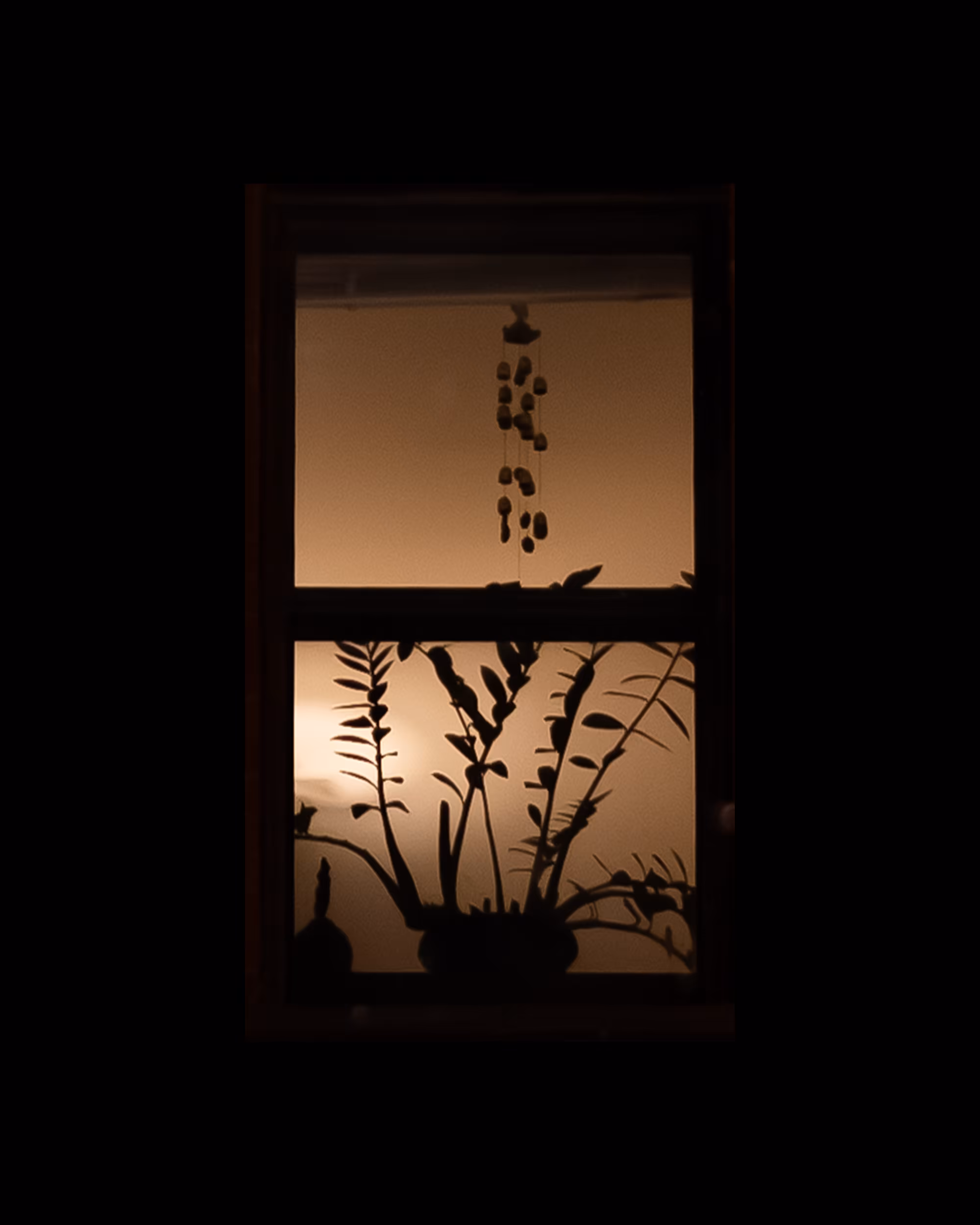 WINDOW 162