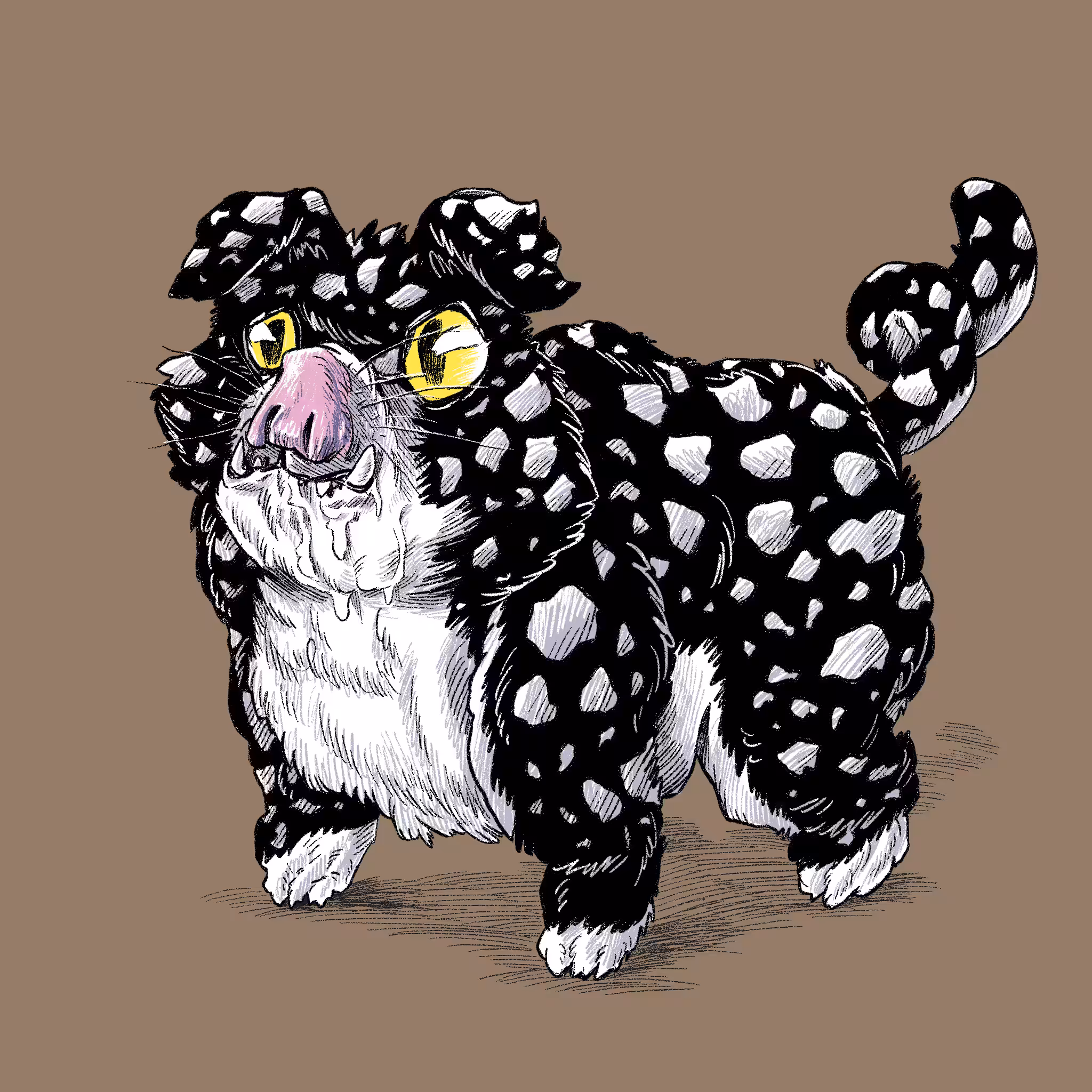 Pig Cat