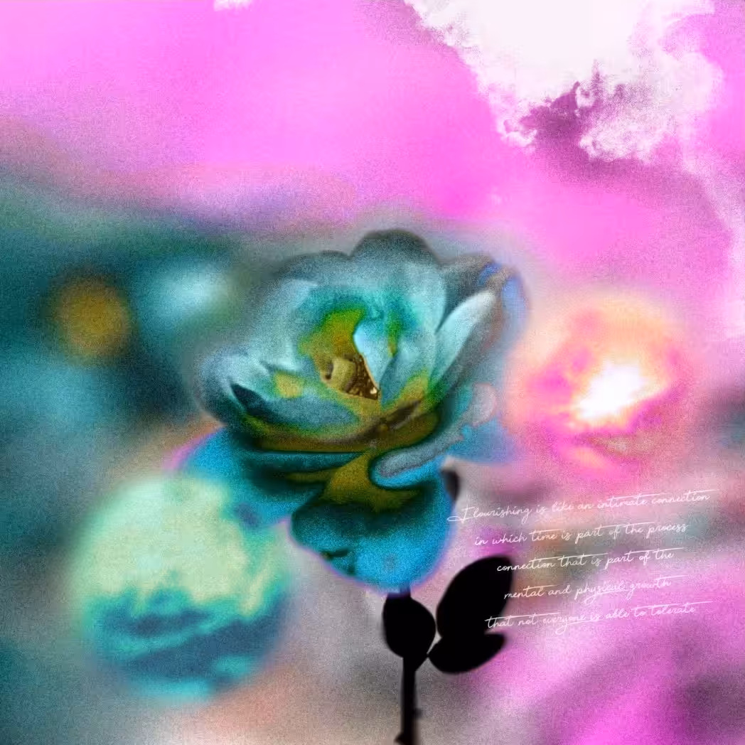 Bloom