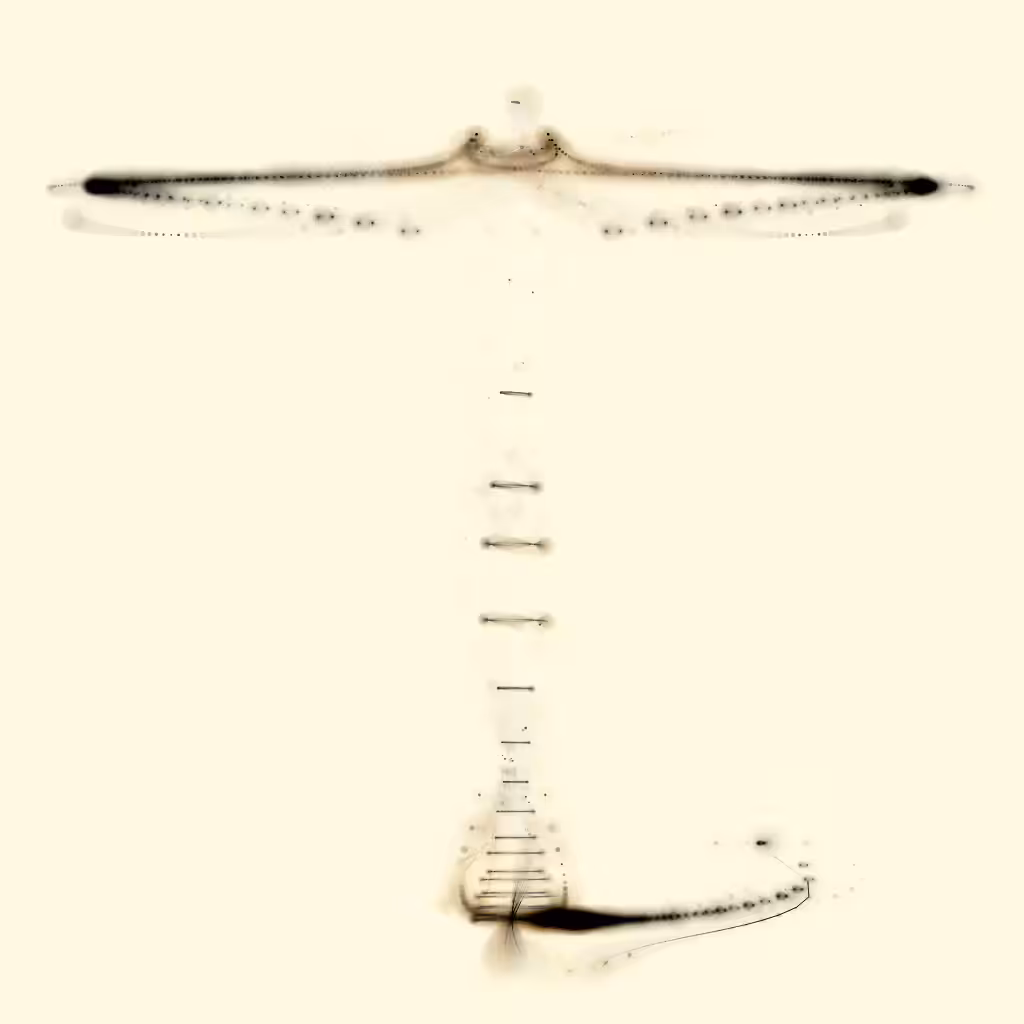 Spectral Beings: Spectral Being 120