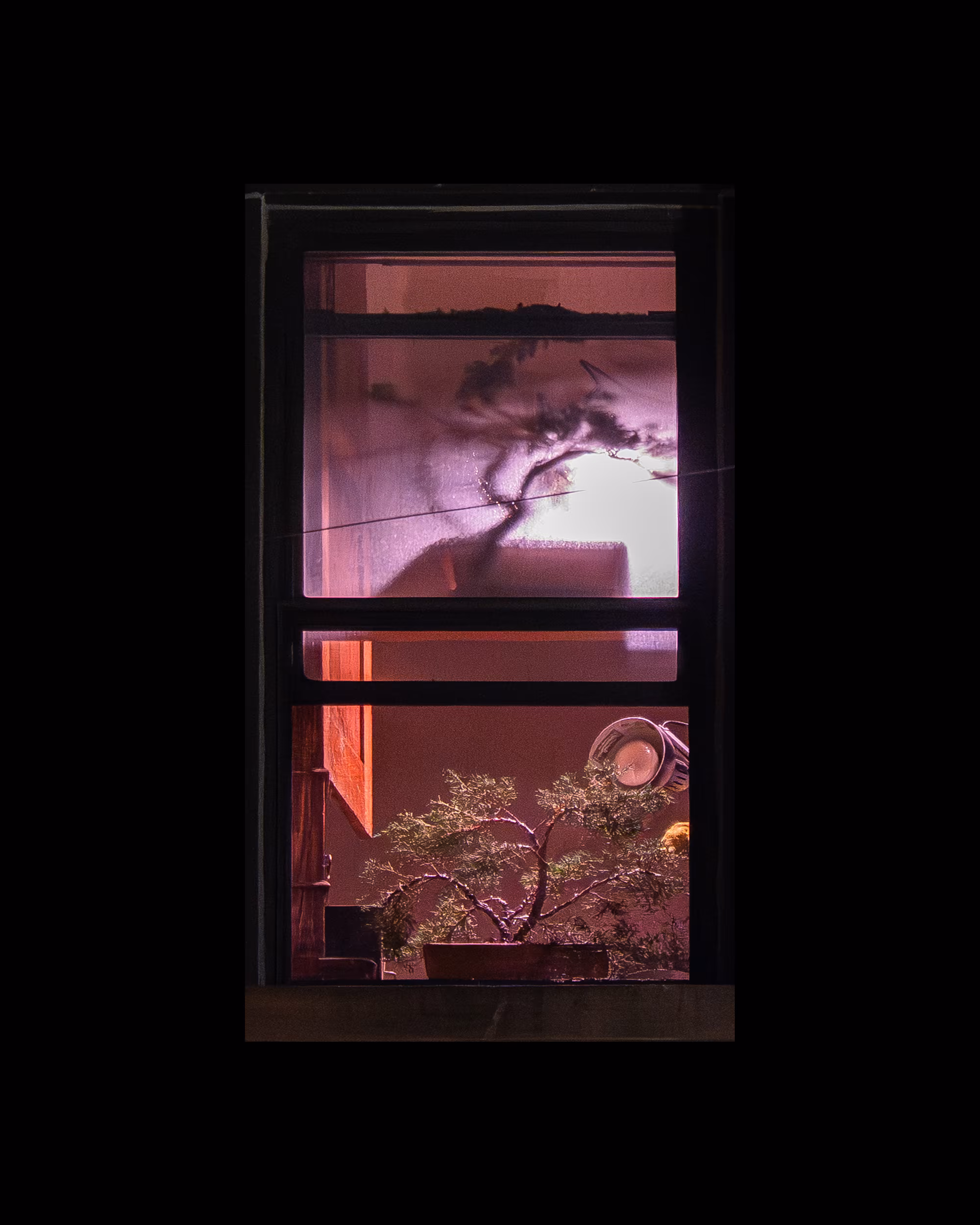WINDOW 68