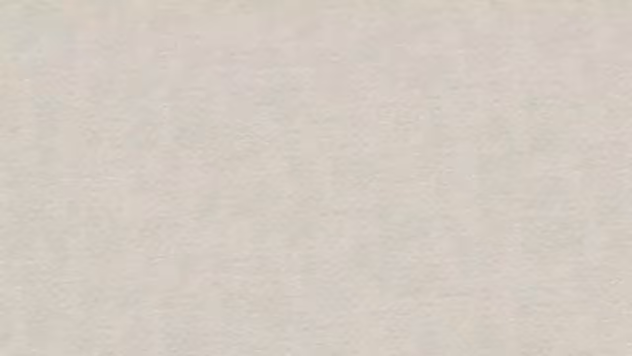 Silence _ Flight _ Peace