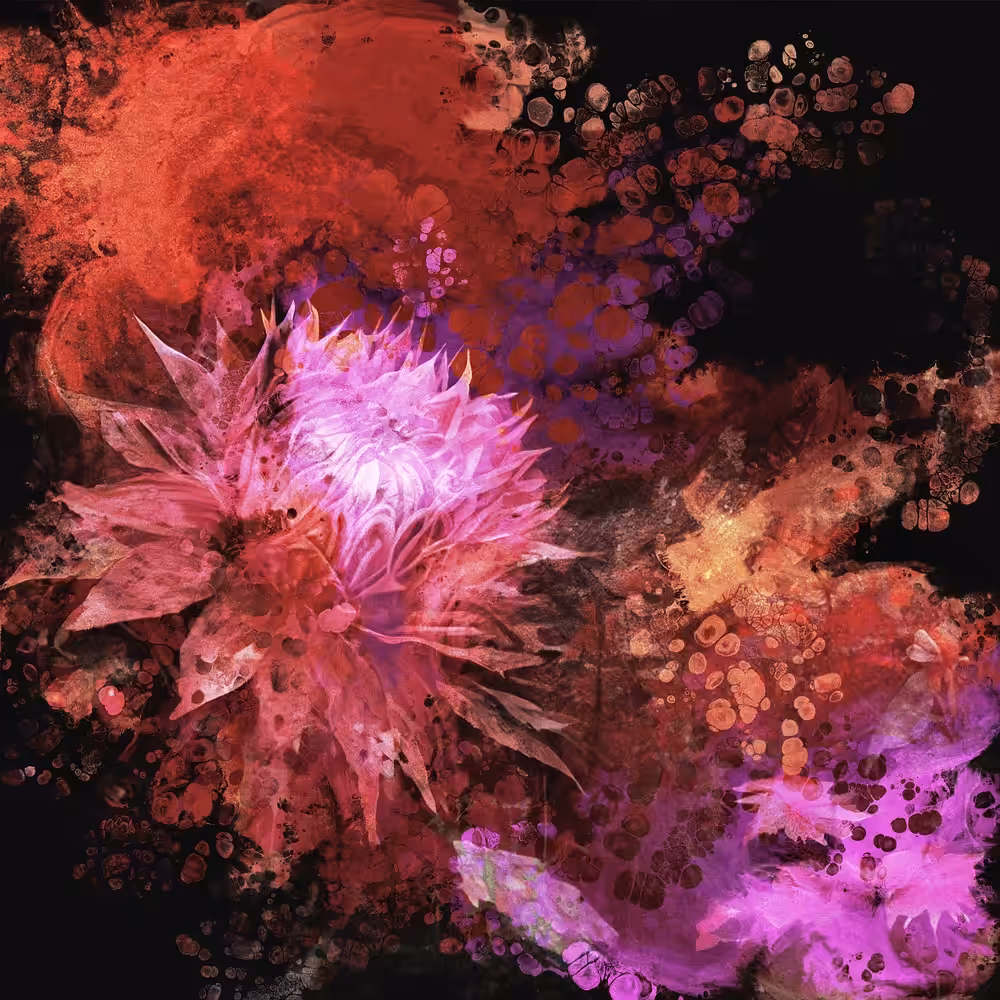 Withering flower in the fall, Colors of the season