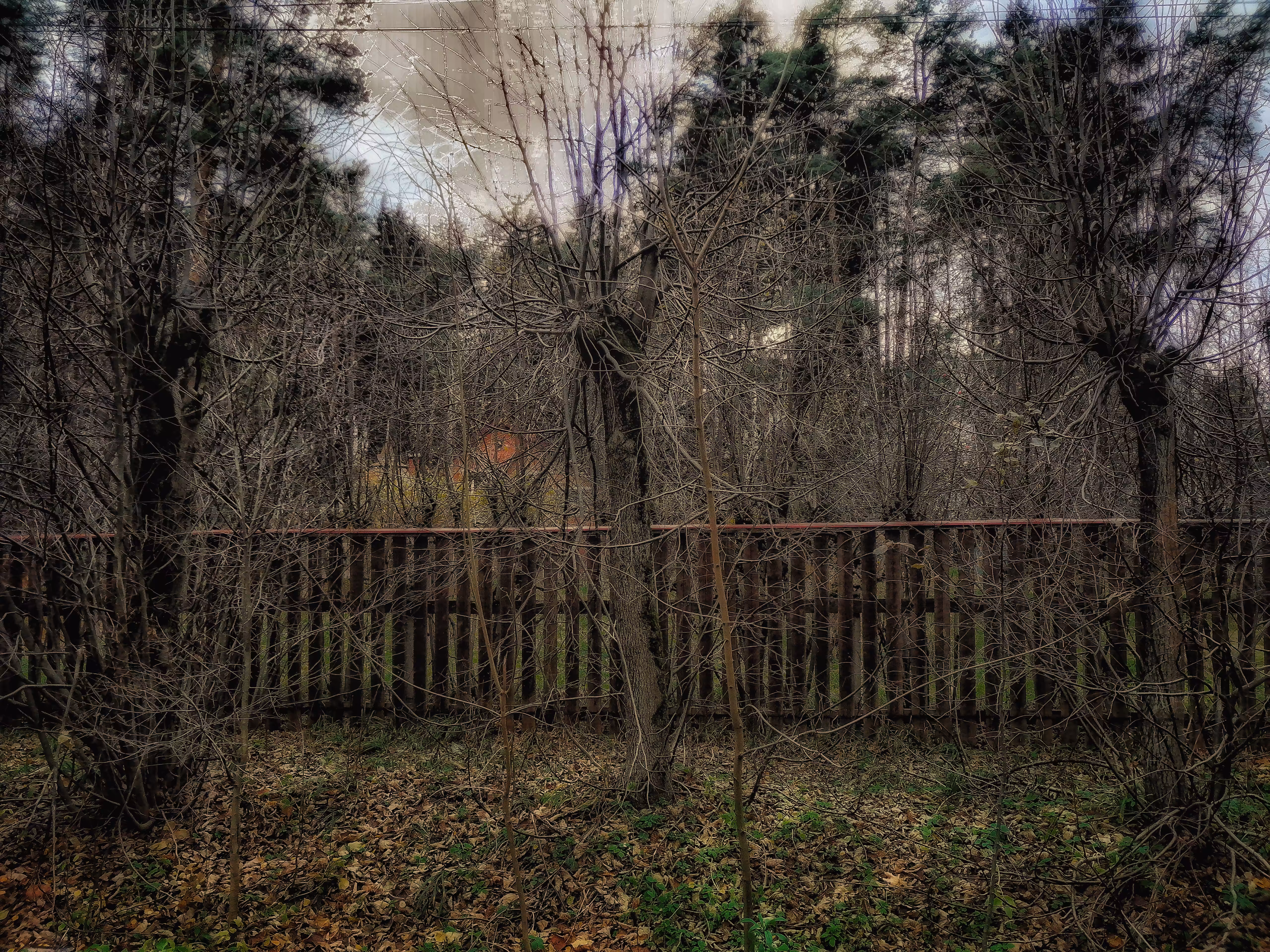 Magic of Autumn #3