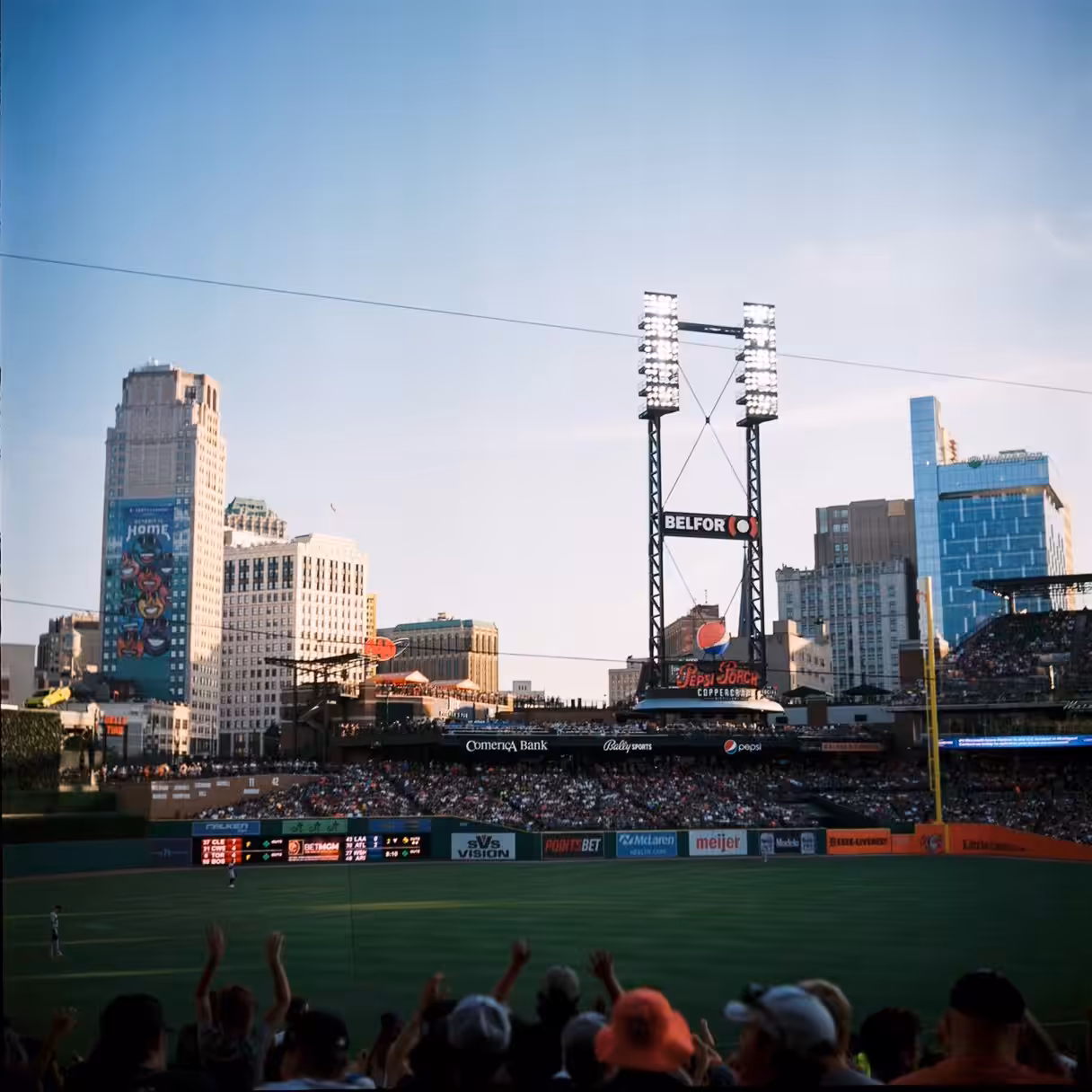 Tigers Tigers