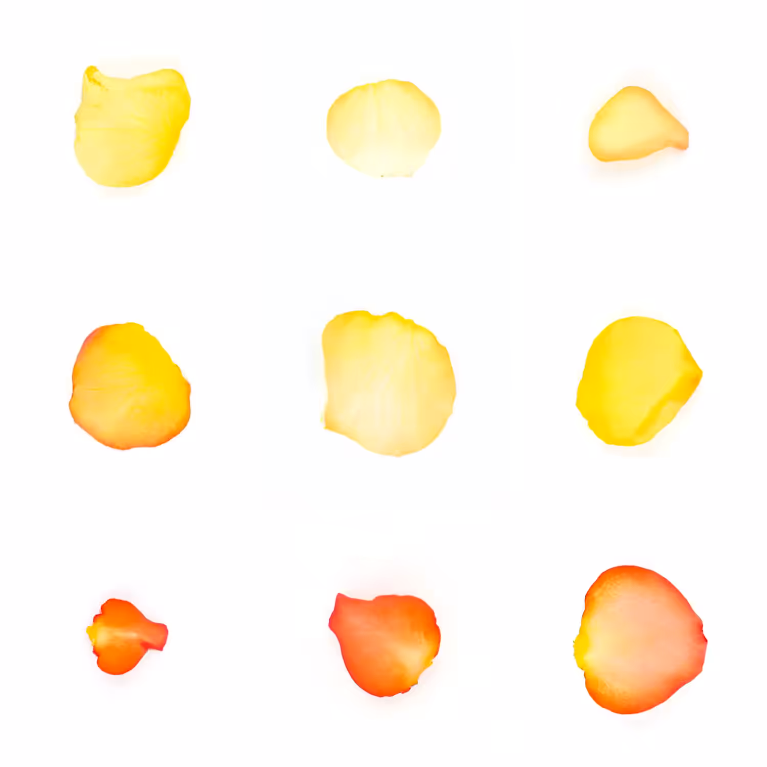 Infinite Petals 3x3#2618