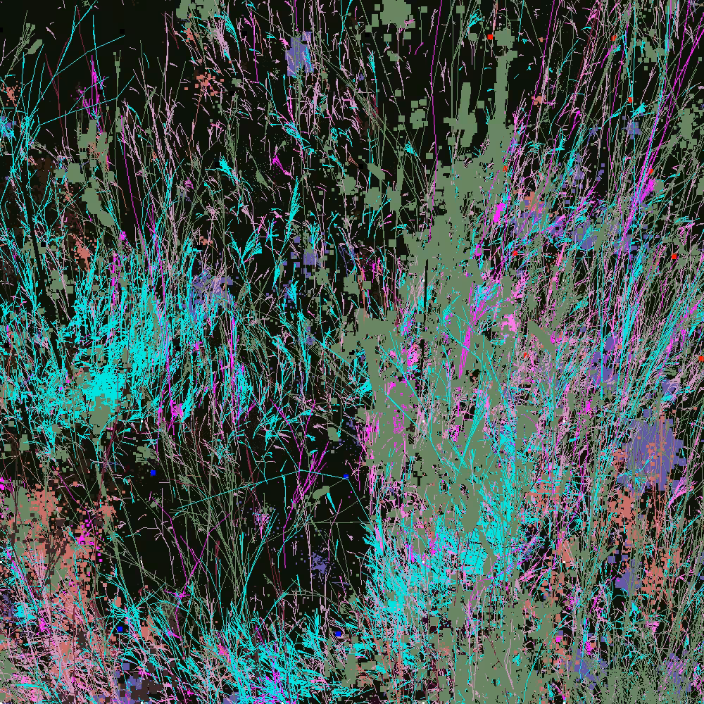 Infinite Garden: 101982 Flowers