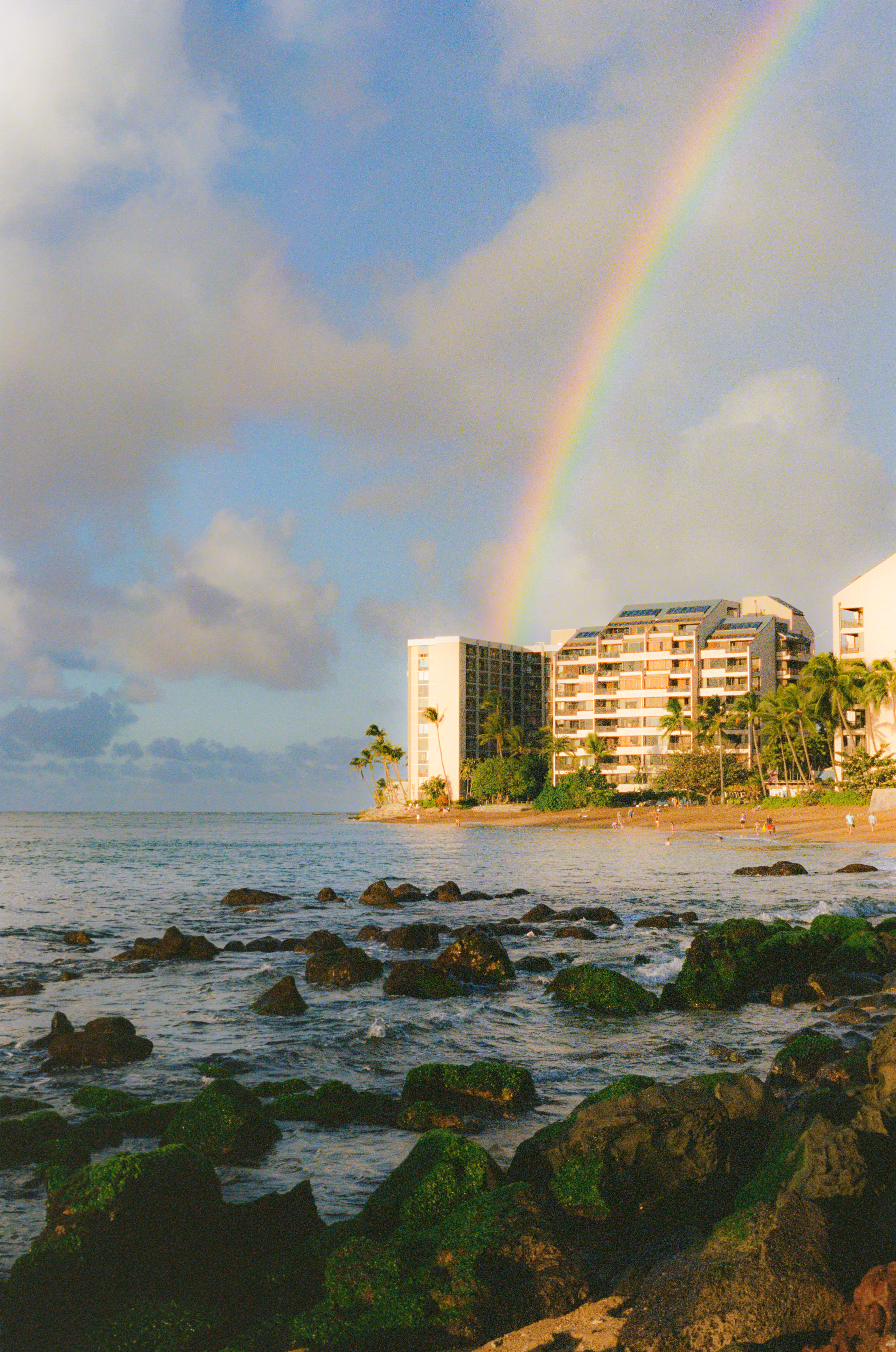 Hawaiian Dream