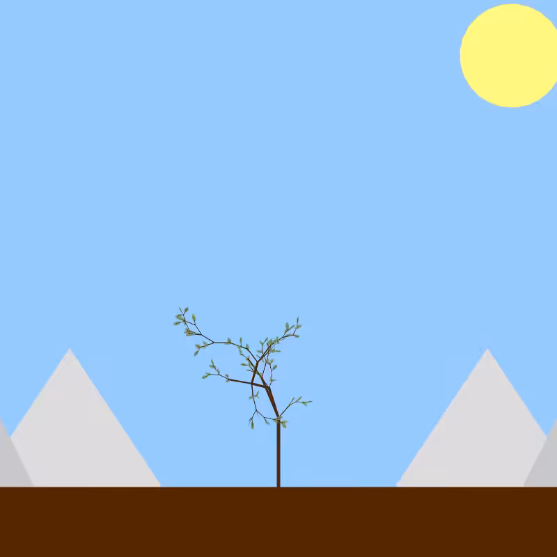 From seedling to tree #10