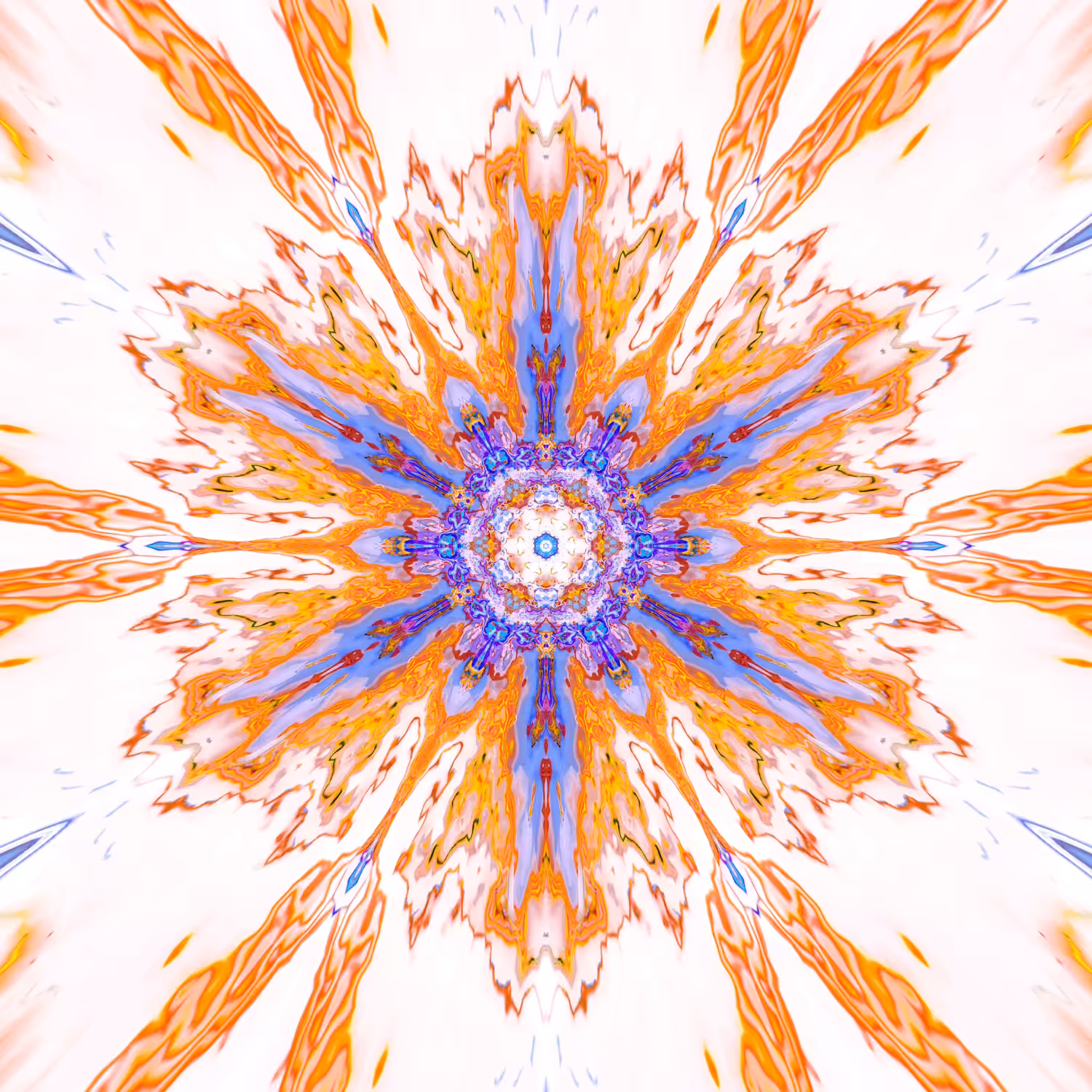 Divine's Kaleido: Kaleido 5
