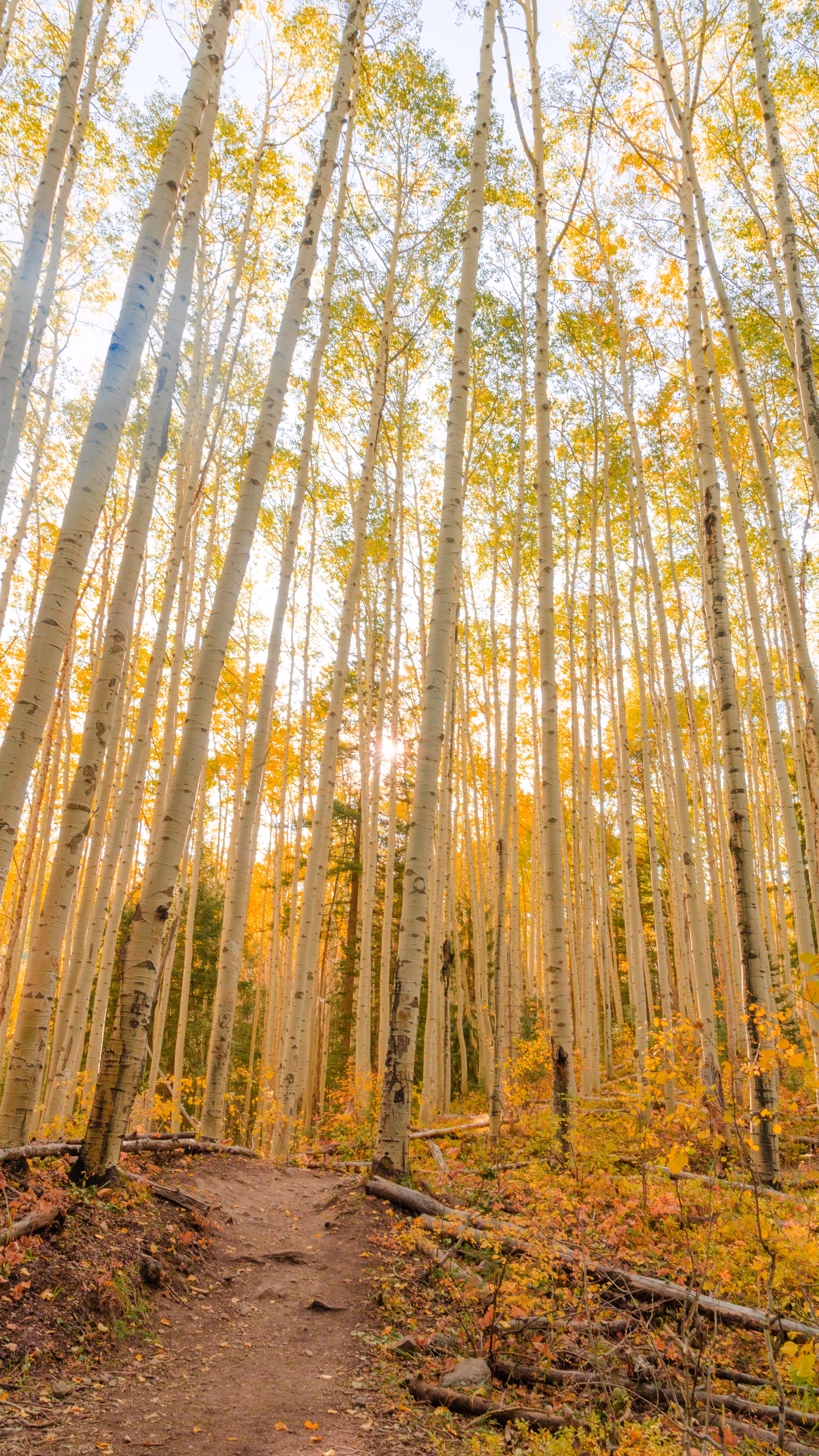 Colorado Lanscapes #18