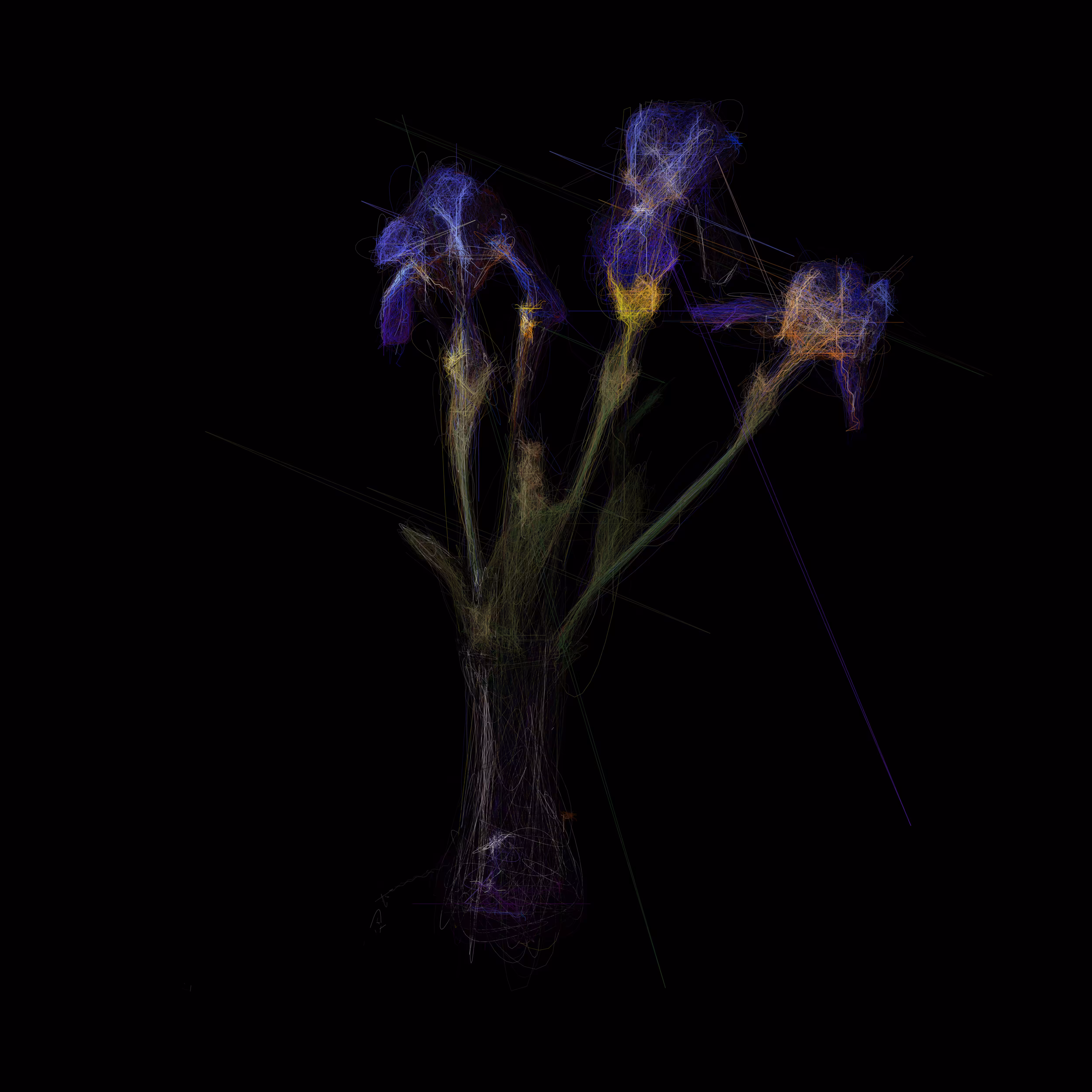 Irises II