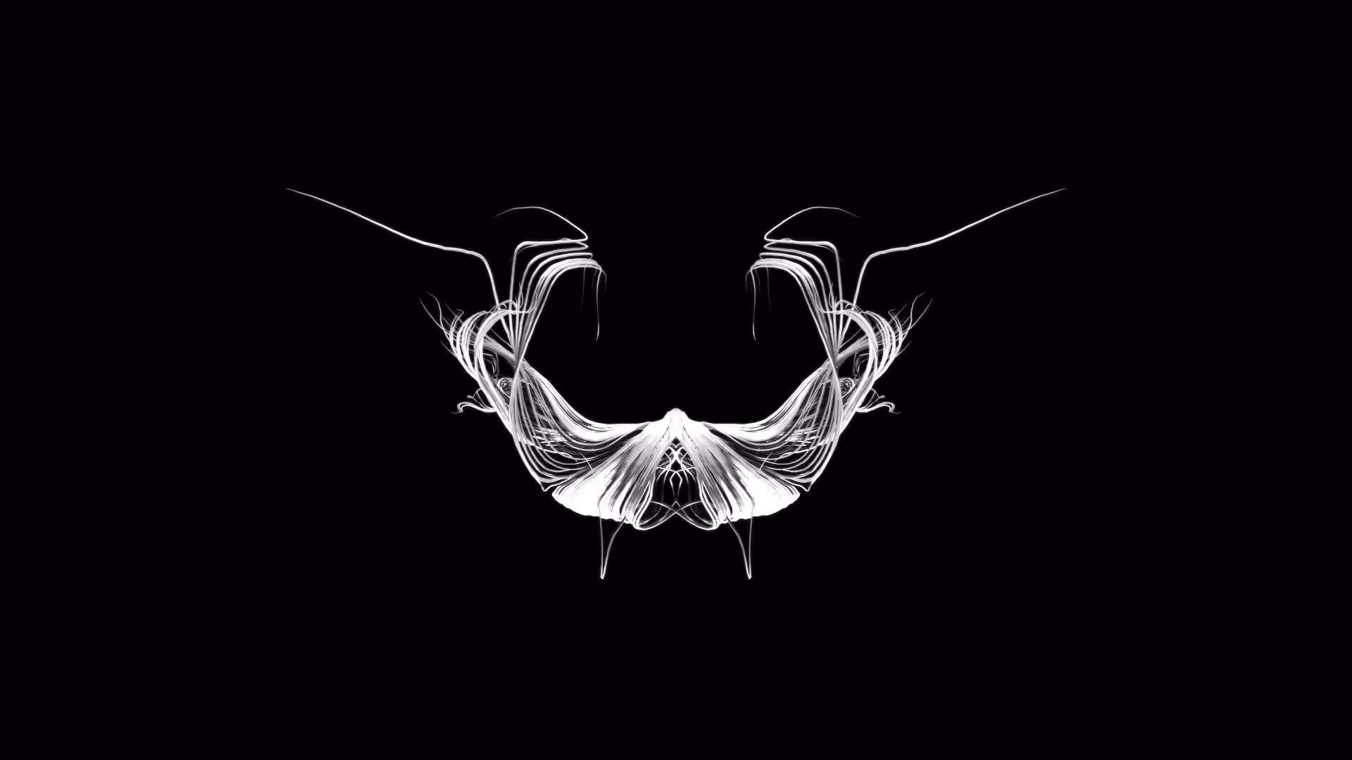 Entropy 24