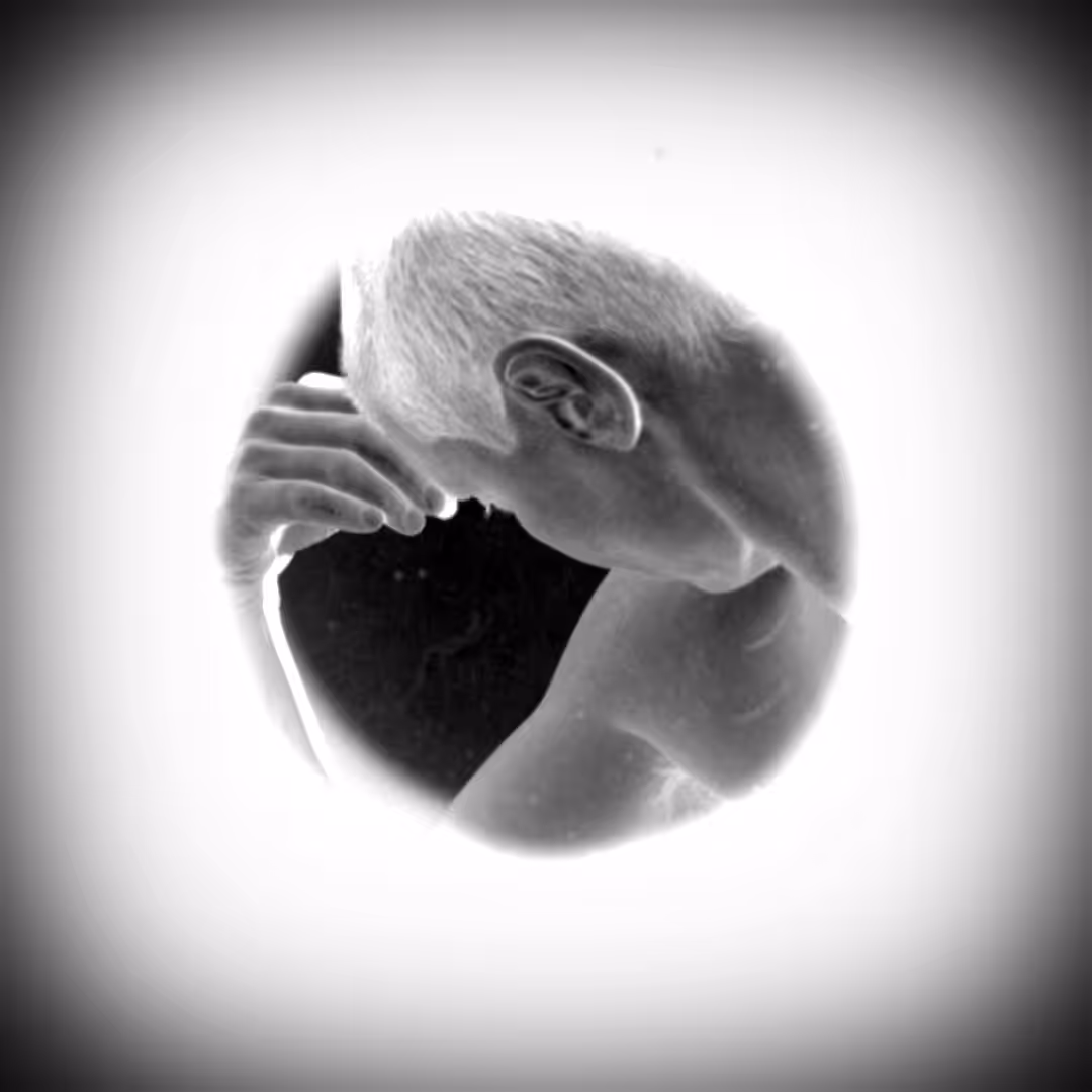 Introspection