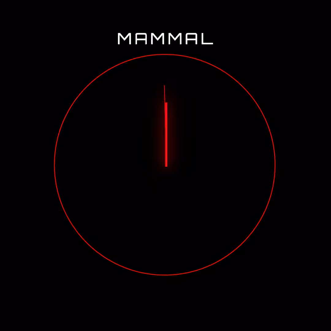 MAMMAL ONE