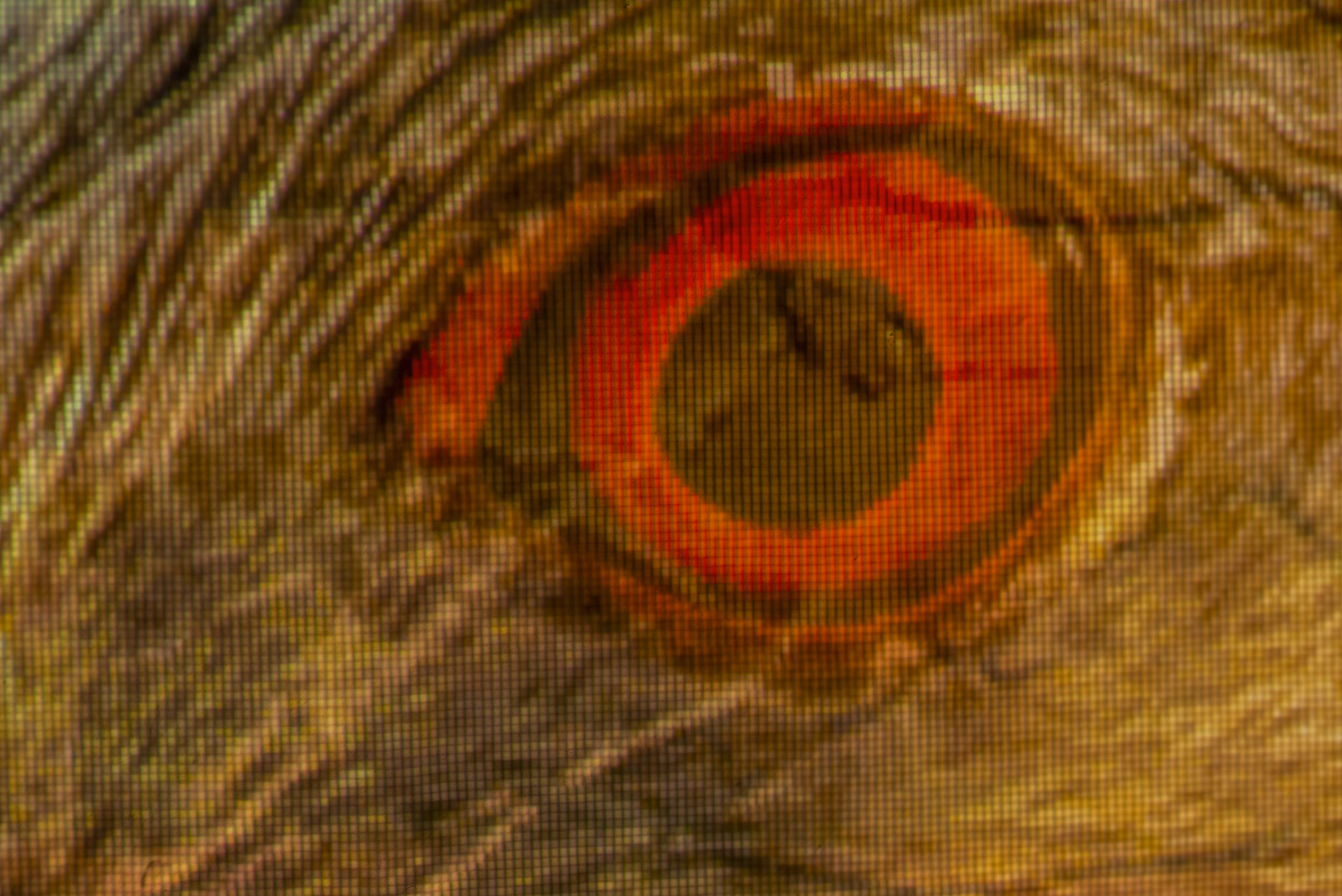 Four: Hurting Eye