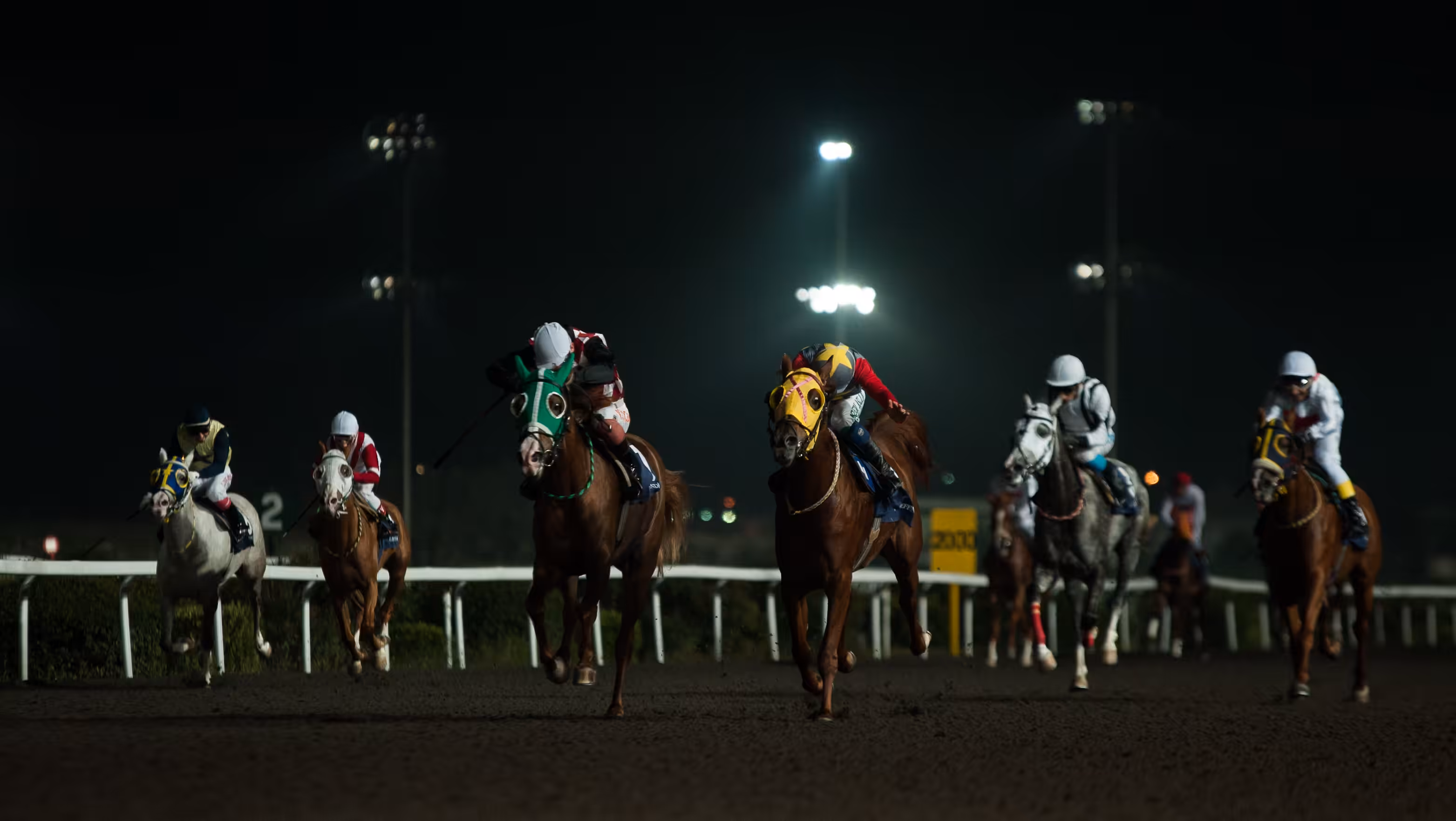Rodeo posts: Night Race
